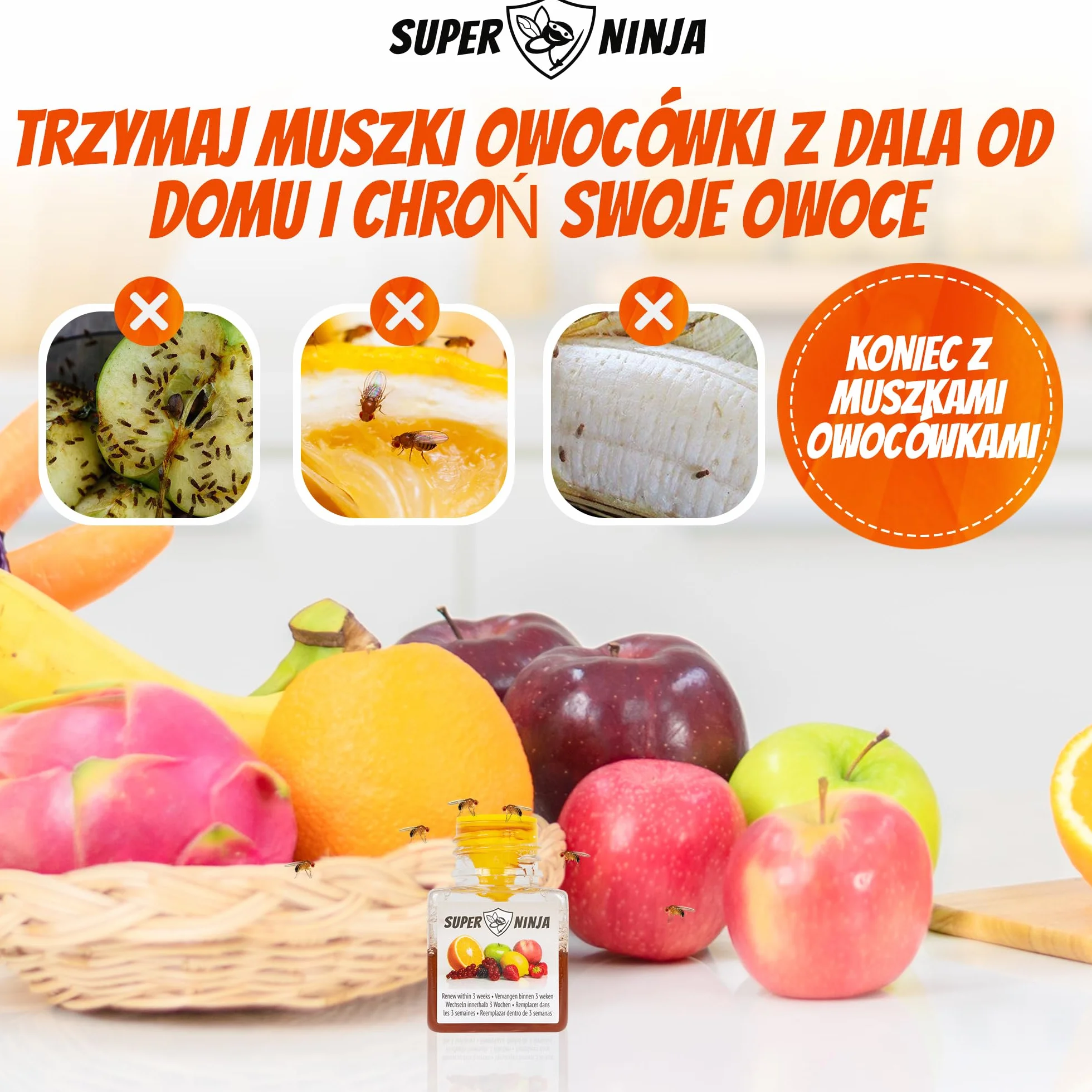 Pułapka na muchy owocowe Ekologiczna 4 szt