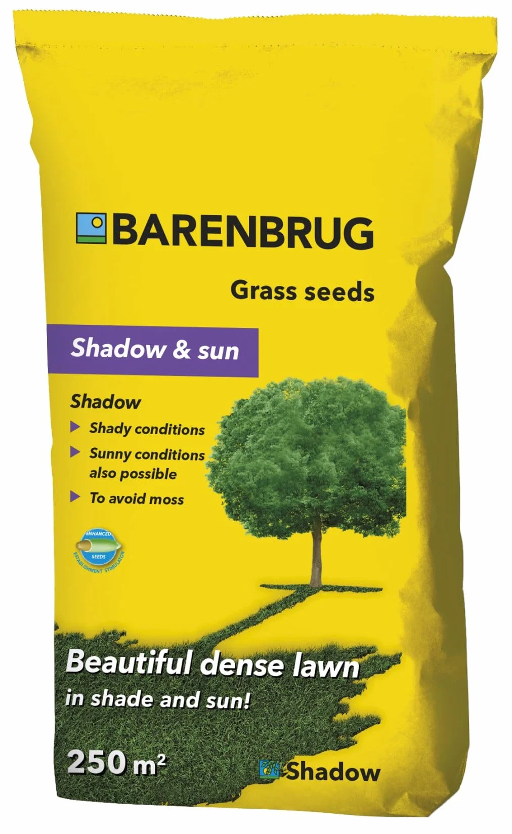 Barenbrug Shadow Trawa na Cień 5kg Nasiona Trawy