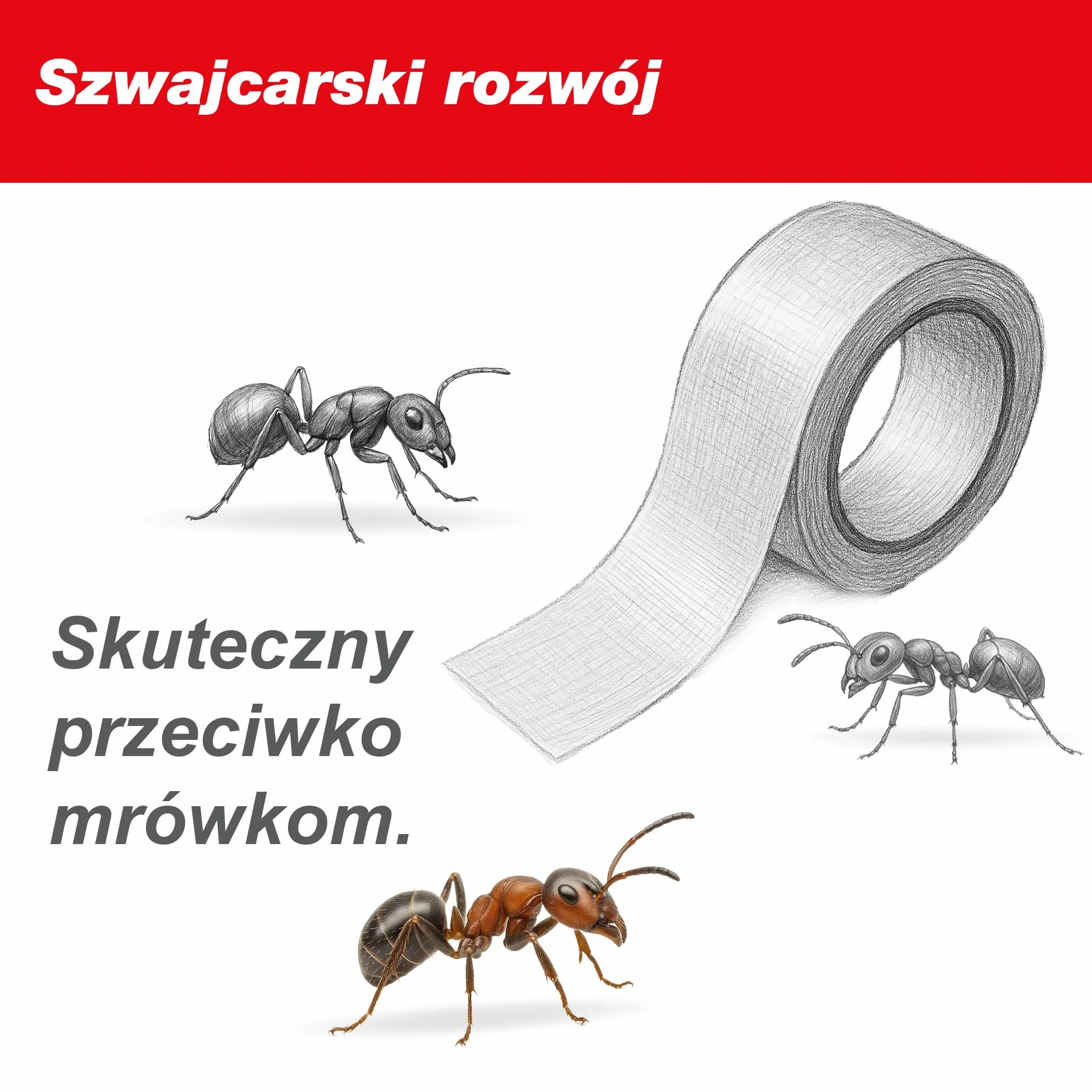 SWISSINNO Klejący Pierścień na Drzewa – Zwalcza Gąsienice i Mrówki – Pułapka Barierowa z Białą Taśmą – Samoprzylepna – 5cm x 5 Metry – Działa Mechanicznie