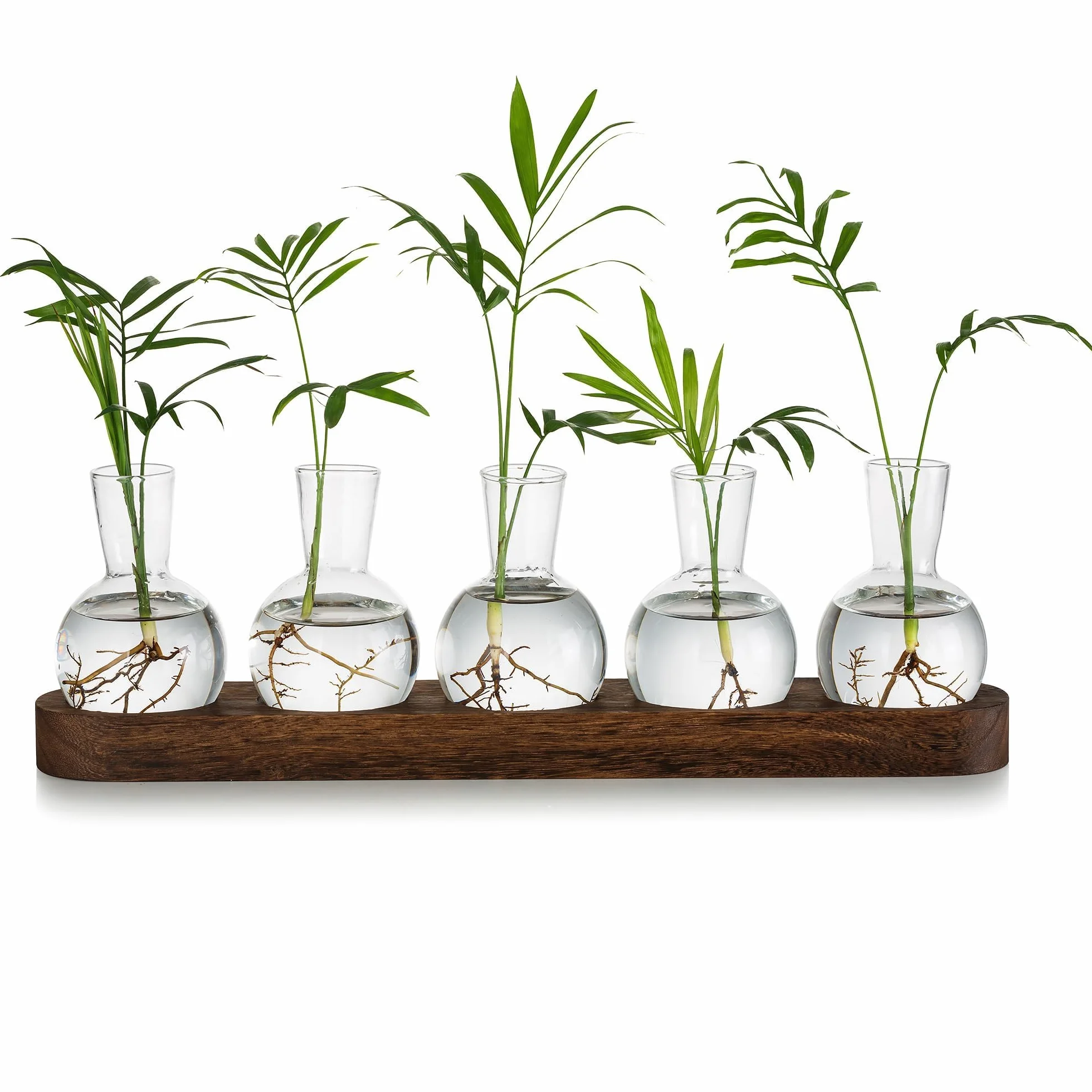 Glasseam Stacja do Rozmnażania Terrarium na Rośliny, Szklany Wazon z Drewnianą Tacą, Nowoczesny do Salonu, Biura, Kwiaty, Hydroponika, Cięcie Roślin