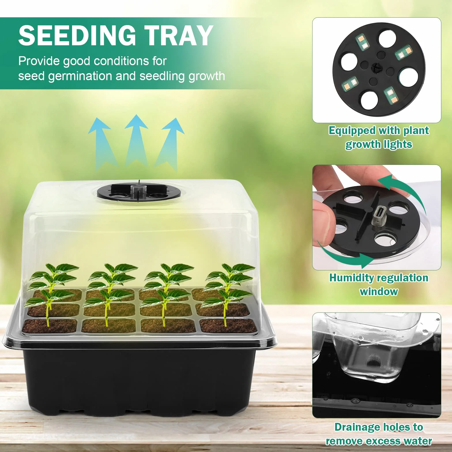 RIOGOO (6 placstic seed starter tray)