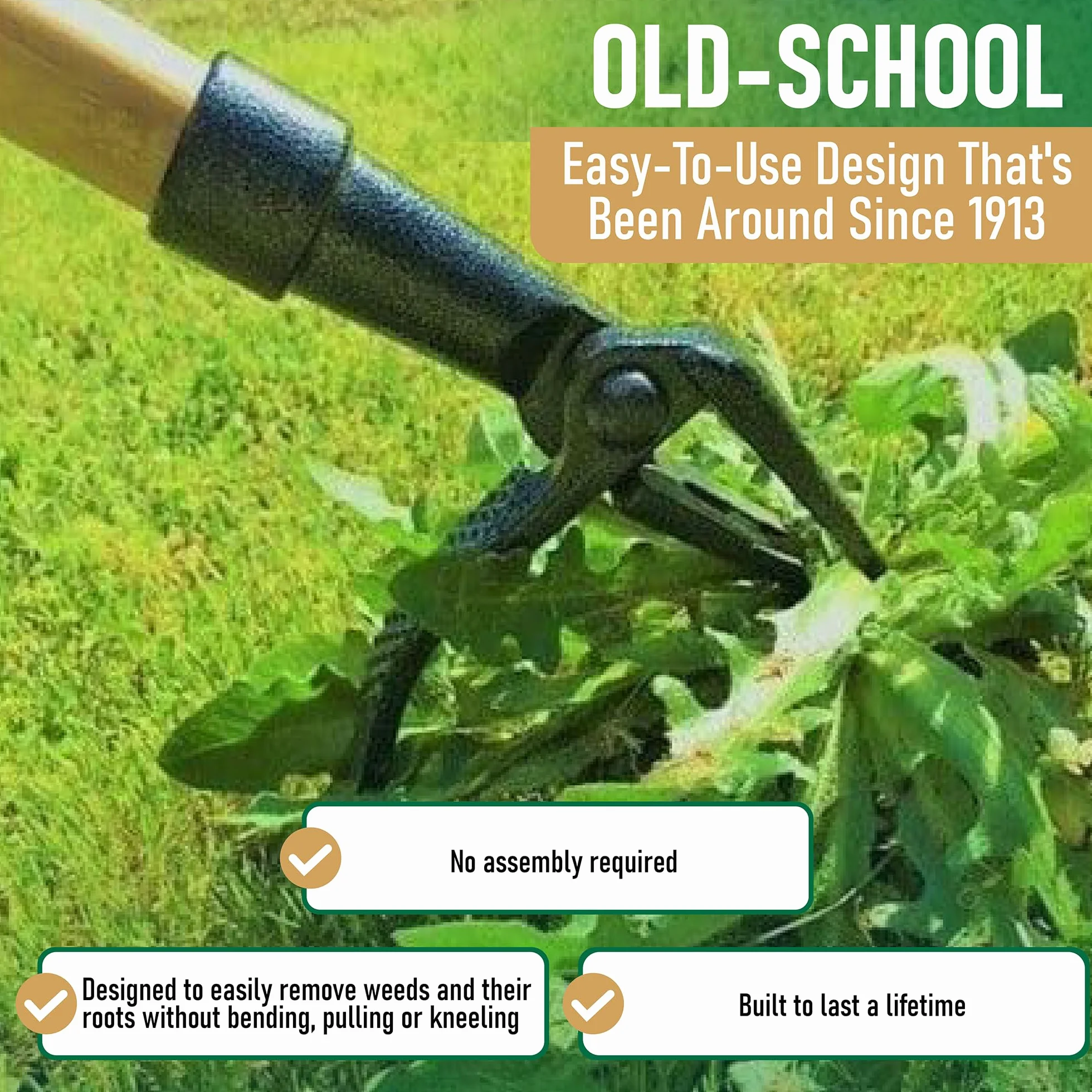 Grampa's Weeder - Oryginalne narzędzie do wyciągania chwastów z długim uchwytem - wykonane z prawdziwego bambusa i 4-pazurowej stalowej głowicy - łatwe usuwanie chwastów bez zginania, ciągnięcia lub