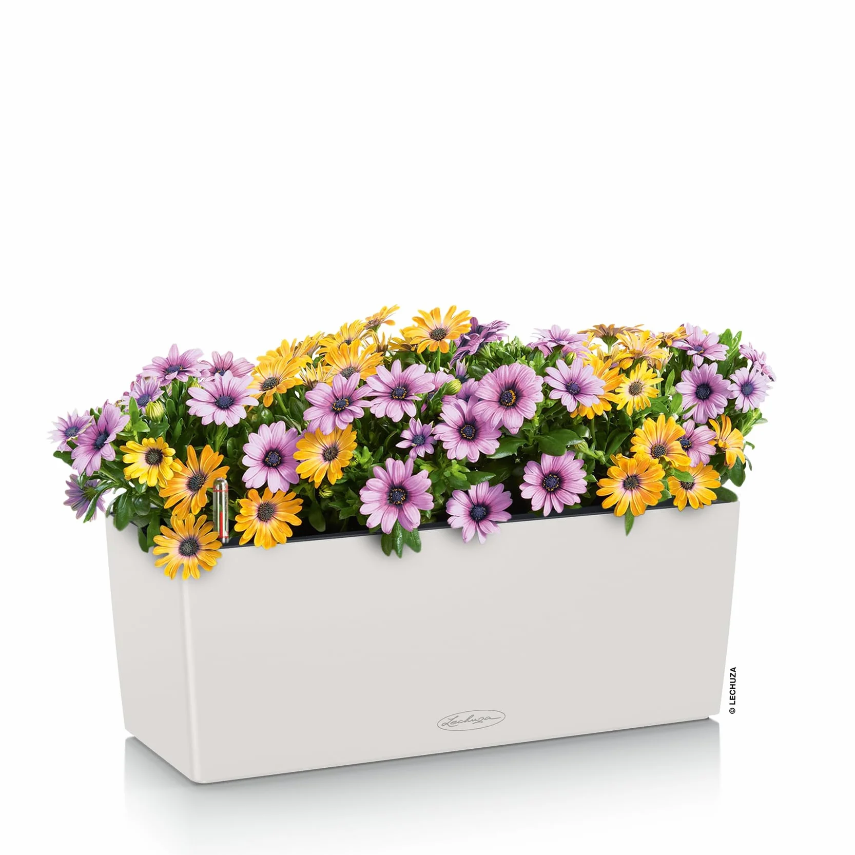Lechuza Donica Balconera Kolor 50 Jasnoszary System Nawadniania