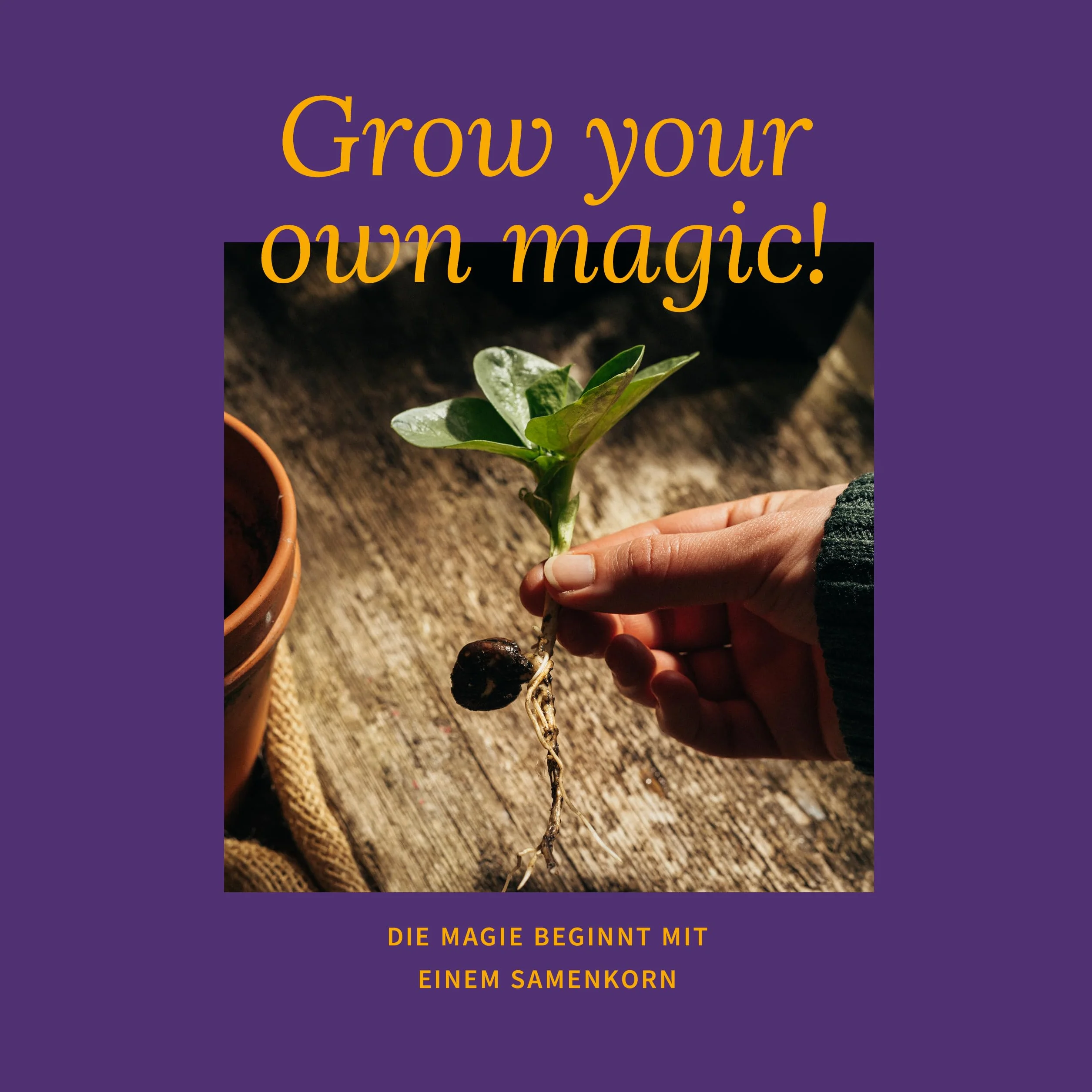 Magic Garden Seeds Pudełko z nasionami roślin alpejskich 9 odmian dzikie kwiaty zioła górskie