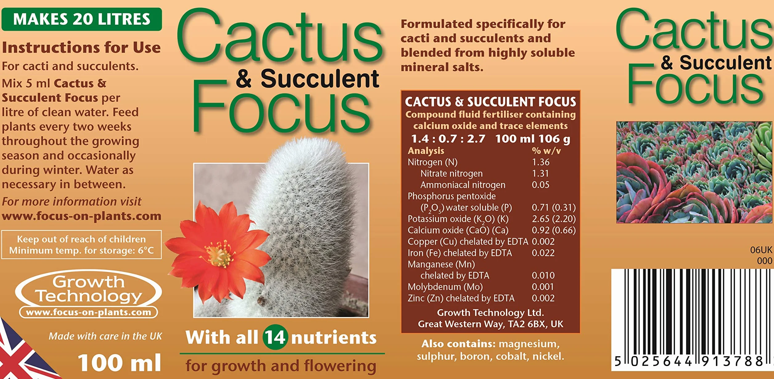 Kaktus i sukulent Focus 100 ml