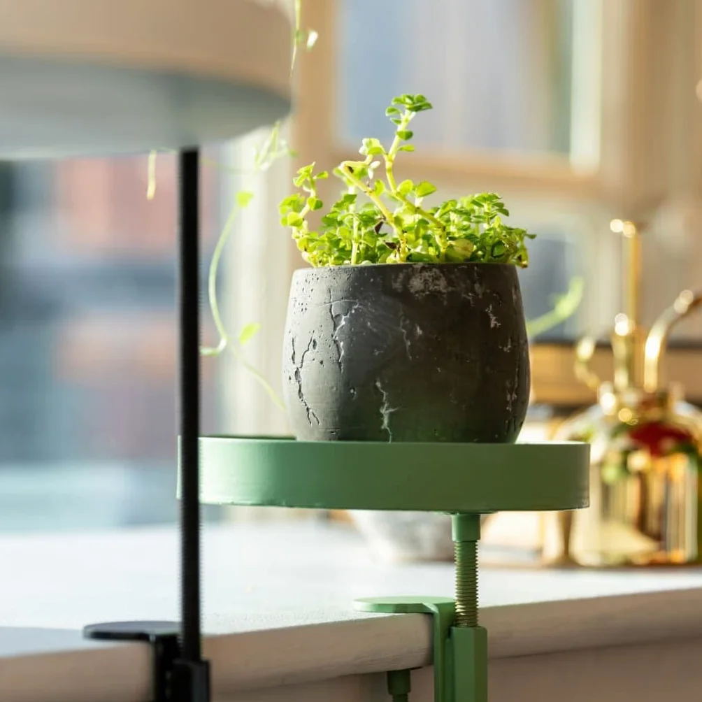 Esschert Design Blumentopfhalter mit Klemme Rund Grün S