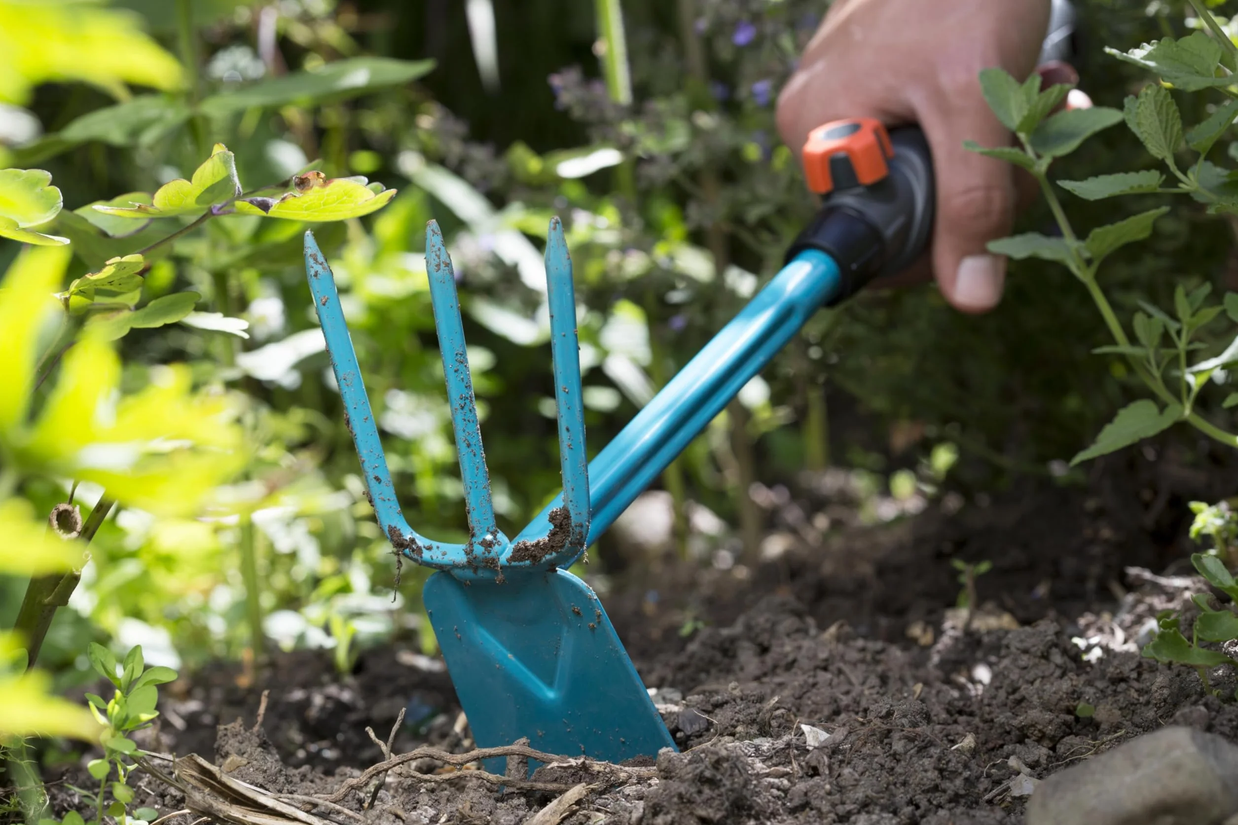 Gardena combisystem motyczka sercowa: 3-zębowa motyczka sercowa do spulchniania/napowietrzania gleby, szerokość robocza 6,5 cm, ergonomiczna rękojeść, zabezpieczenie przed korozją (8915-20)