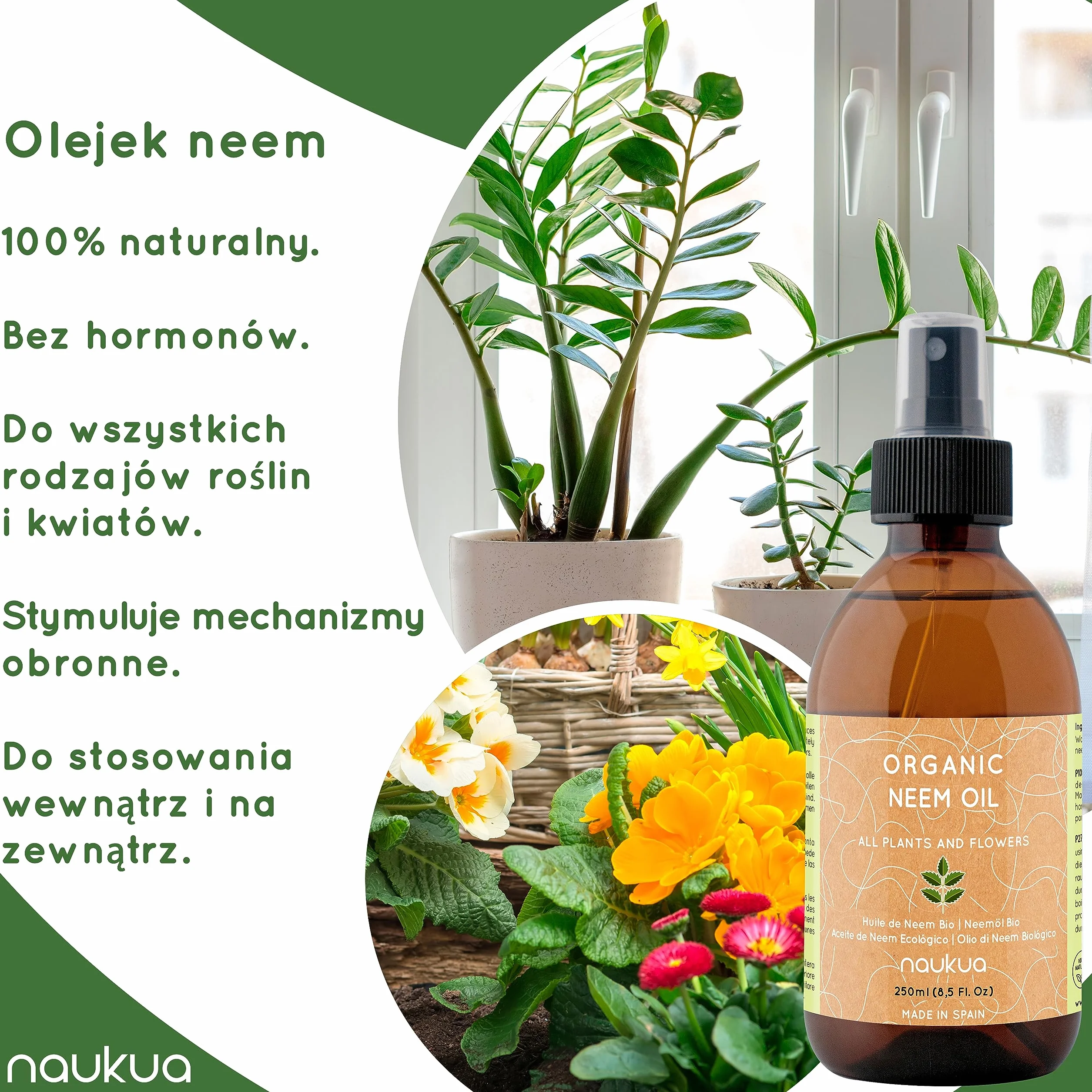 250ml Organiczny Olejek z Miodli Indyjskiej Do Roślin - 100% Naturalny i Nietoksyczny - Ochrona i Obrona Przed Wszystkimi Rodzajami Szkodników, Owadów i Chorób - Rośliny Wewnątrz i Na Zewnątrz - Gotowy Do Użycia Spray.