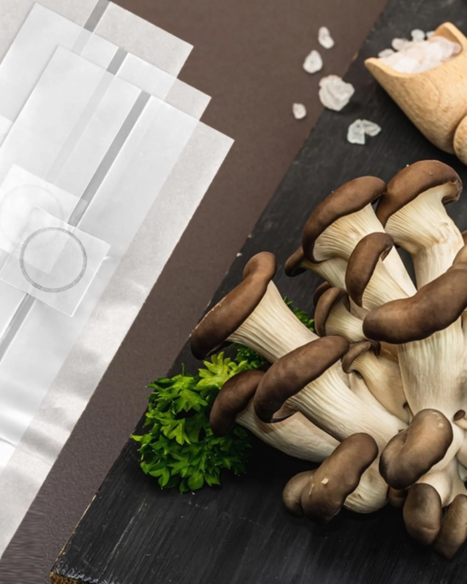 50 sztuk worków do hodowli grzybów: przezroczyste worki do uprawy grzybów, zestaw worków do uprawy grzybów z filtrem do pieczarek, grzybów Enoki Shiitake, zbóż, boczniaków (32 x 50 cm)