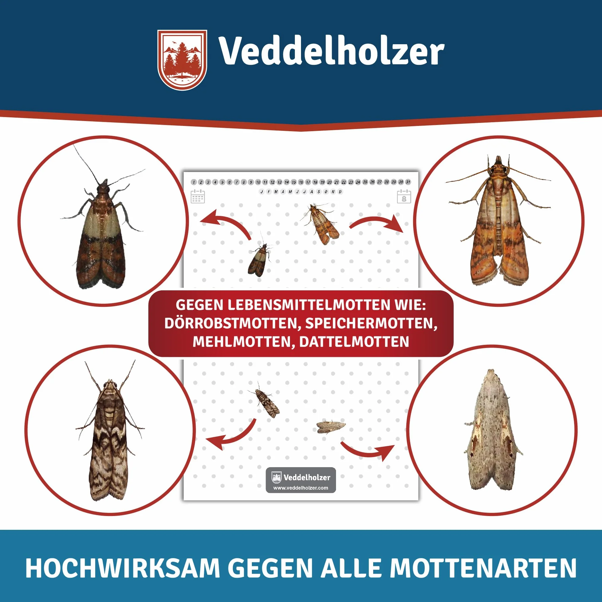 Veddelholzer 10 sztuk pułapka na mole spożywcze z przyciąganiem feromonów Skuteczne zwalczanie moli spożywczych Monitorowanie moli dzięki mocnej pułapce kleju Długotrwała ochrona 10 x 8 tygodni