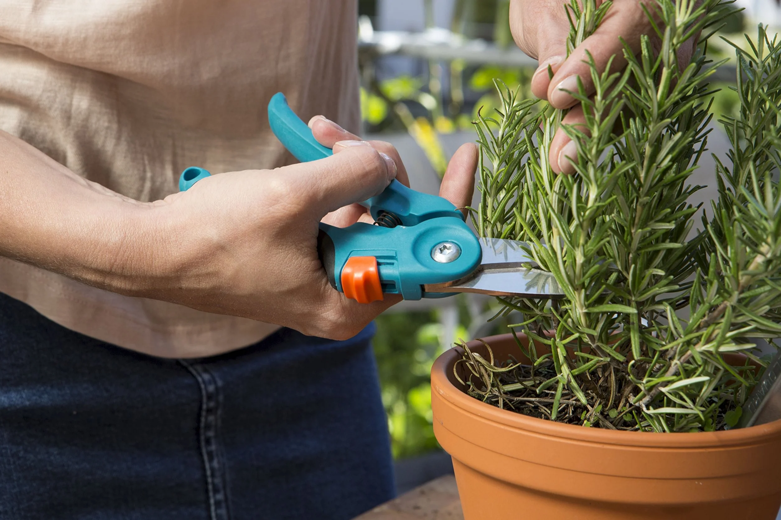Gardena sekator balkonowy city gardening: ostrza ze stali szlachetnej, do cięcia kwiatów/ziół/gałęzi, jednoręczna blokada, 2 pozycje otwarcia uchwytu, 2 stopnie regulacji otwarcia uchwytu (8707-20)