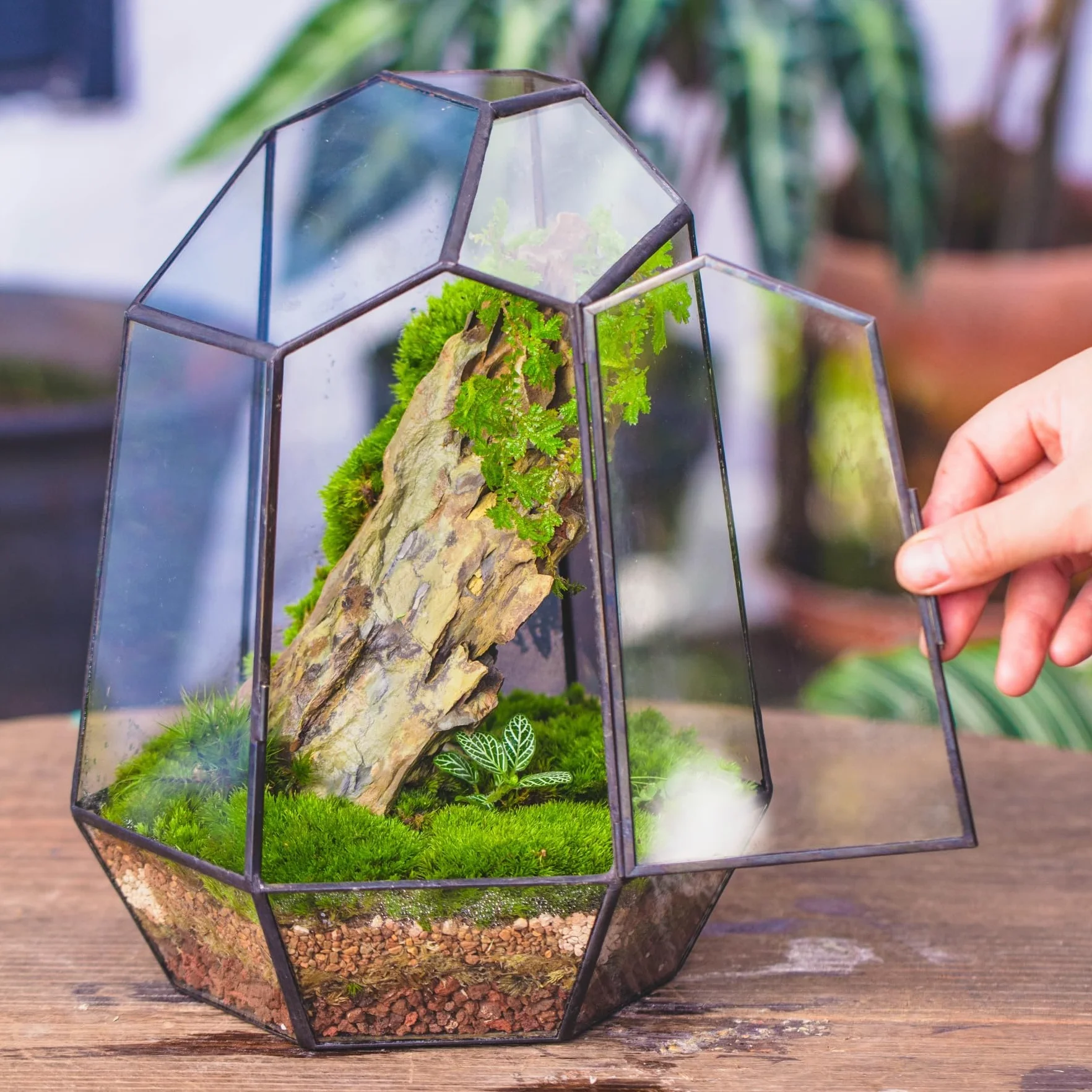 NCYP Zamknięte geometryczne szklane terrarium z drzwiami - 20 x 17,5 x 25 cm czarna doniczka z nieregularnym szkłem - nowoczesna doniczka na sukulenty kaktusy - dekoracja ogrodu domowego (rośliny nie