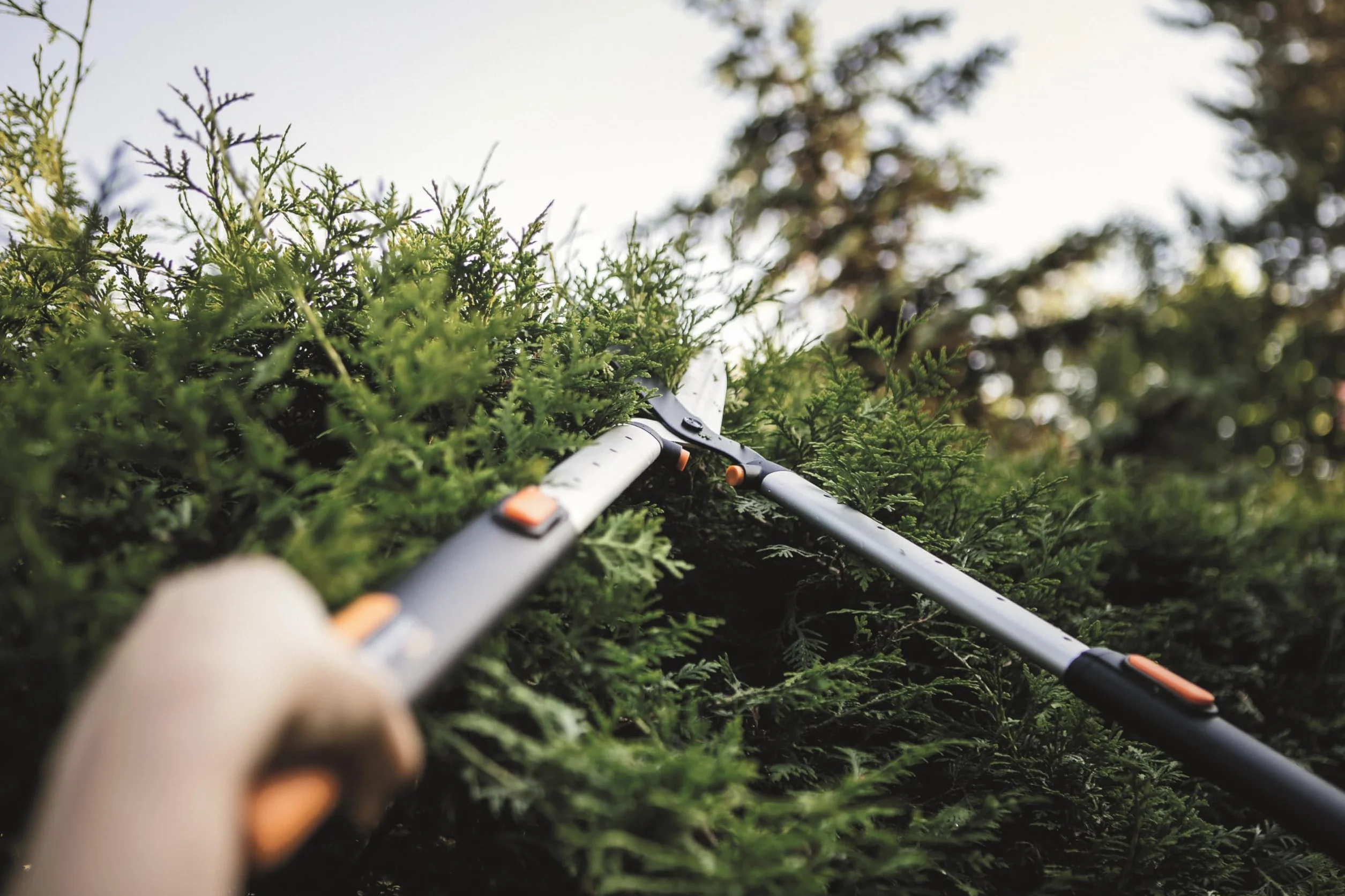Fiskars Smartfit Nożyce do Żywopłotów 93 cm Czarny