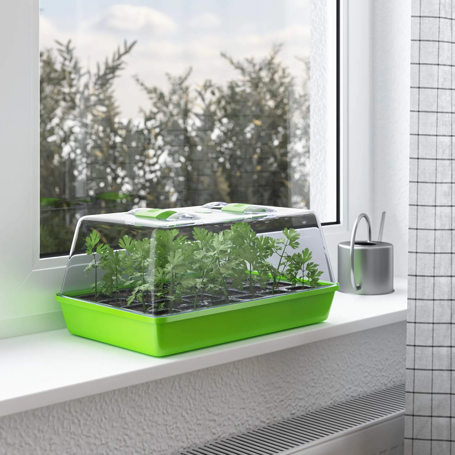 WELLGRO Szklarnia pokojowa z wentylowaną pokrywą i tabliczkami na rośliny, 1, 2 lub 4 sztuki, 38 x 24 x 19 cm, liczba sztuk: 4 sztuki