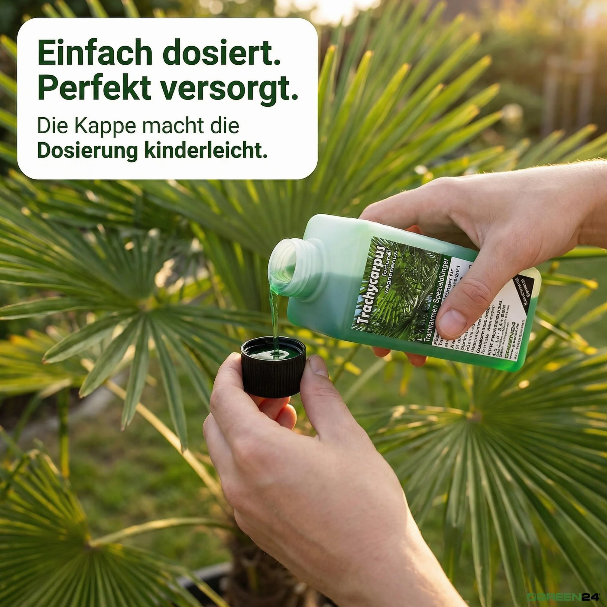 GREEN24 Trachycarpus nawóz do palm konopnych Trachycarpus fortunei wagnerianus jako specjalny nawóz do korzeni + nawóz dolistny Profi Line