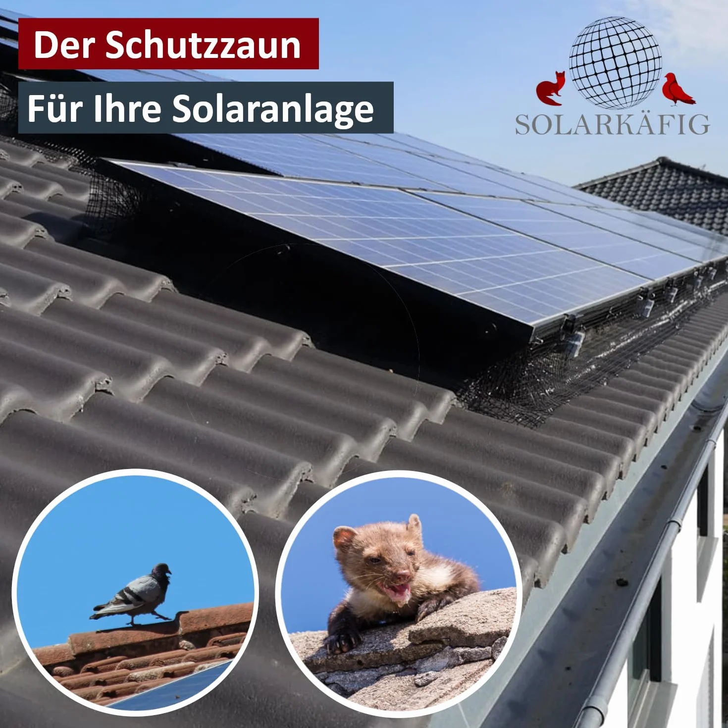 Klatka solarna ochrona przed gołębiami do instalacji solarnych 20cm x 30 metrów, STAL NIERDZEWNA (19% VAT) ochrona przed gołębiami ochrona przed ptakami instalacja PV – ochrona przed kunami ochrona