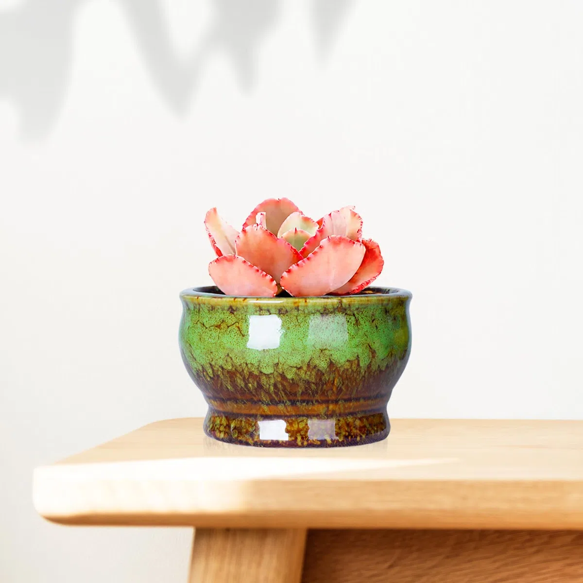 ARTKETTY Doniczki na sukulenty – ceramiczne doniczki na rośliny kaktusowe z drenażem, opakowanie 5 sztuk, małe doniczki na rośliny wewnętrzne/zewnętrzne, kwiaty, bonsai, pojemnik na rośliny, miska