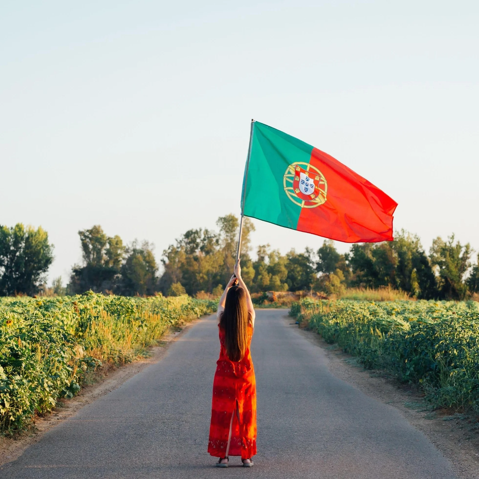 Runesol Portugalia Flaga narodowa 3x5, 91x152cm, Bandeira de Portugal 4 przelotki, mosiężne oczko w każdym rogu, portugalski baner, flaga piłkarska, flagi premium, wodoodporne wewnątrz, na zewnątrz