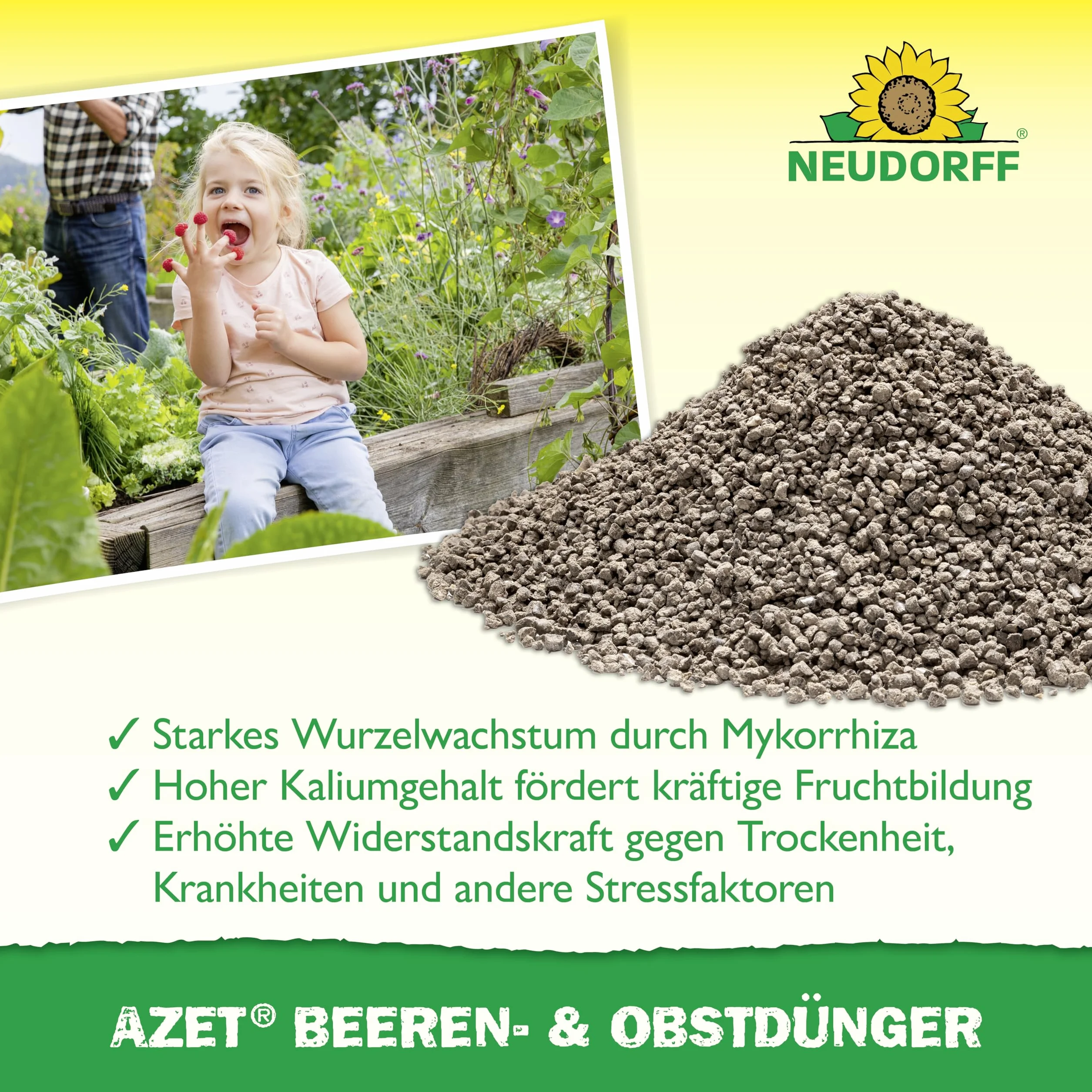 NEUDORFF Azet nawóz do jagód i owoców 750 g