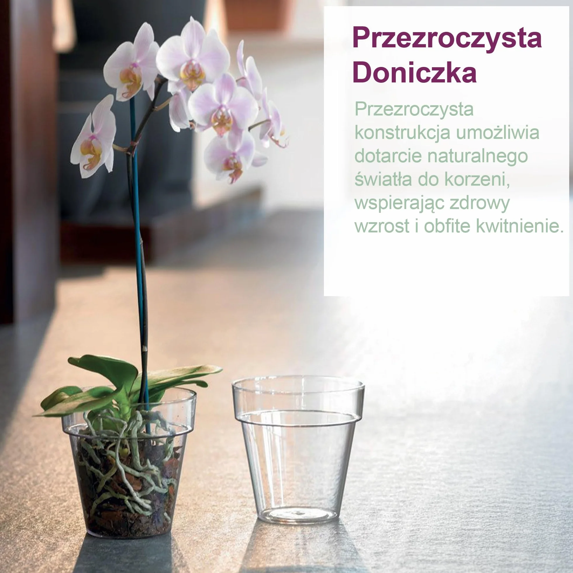 Przezroczysty plastikowy wazon na orchideę z otworami drenażowymi i spodkiem (5, Ø 16 cm)