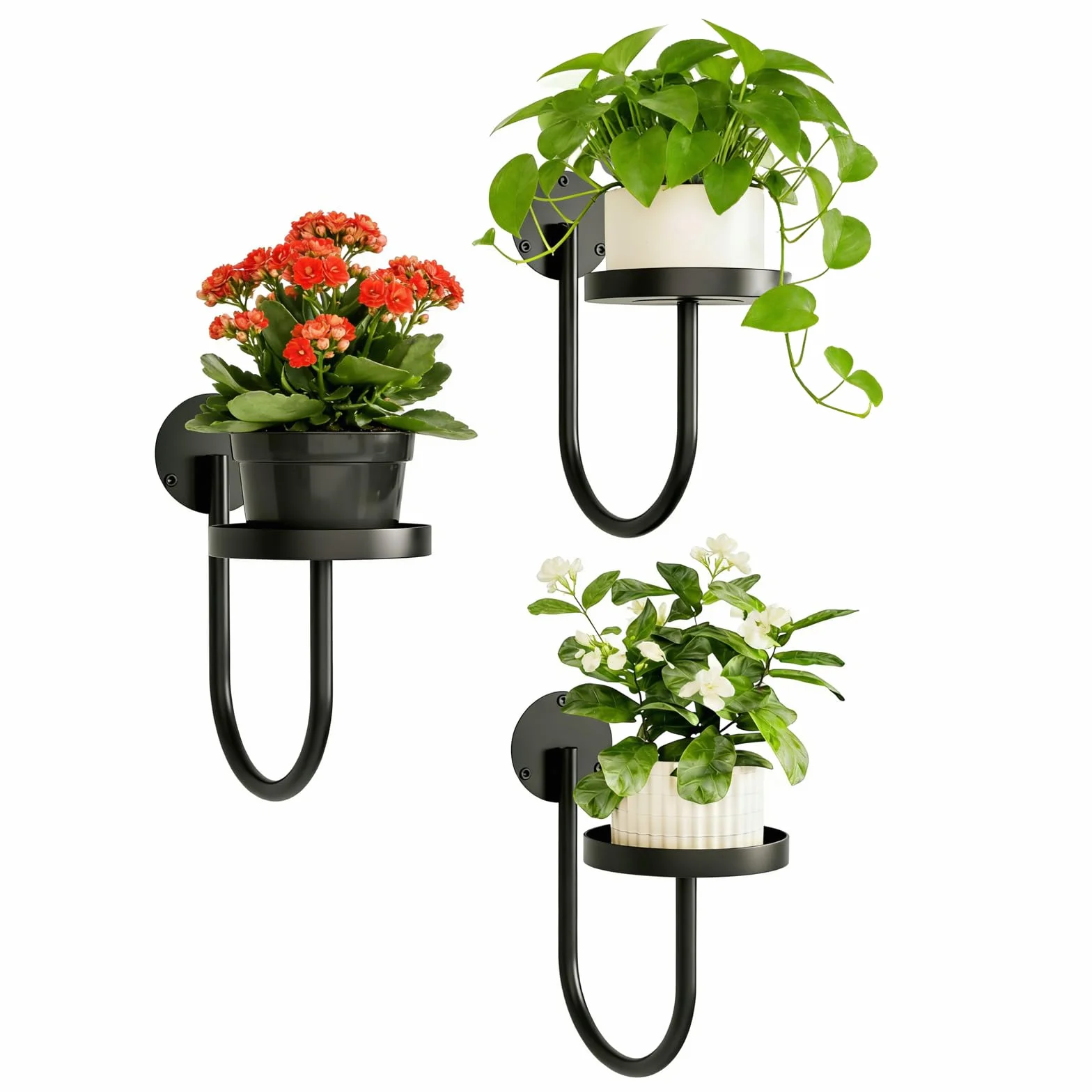 3 Sztuki Półek Ściennych na Rośliny, Nowoczesny Design w Kształcie Litery U, Kwietnik z Metalu w Kolorze Czarnym, Stojak Wiszący do Doniczek i Dekoracji, Idealny do Balkonu Lub Okna i Salonu