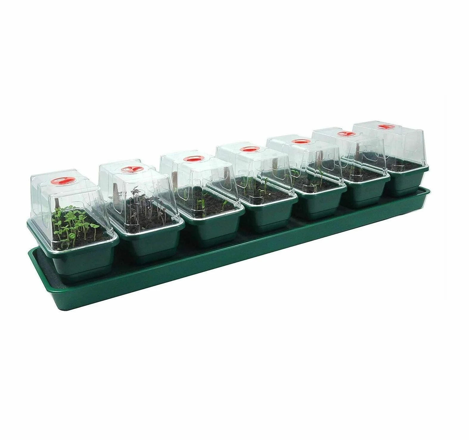 Garland GAL16SW Super 7 samonawadniający się propagator parapetowy zielony