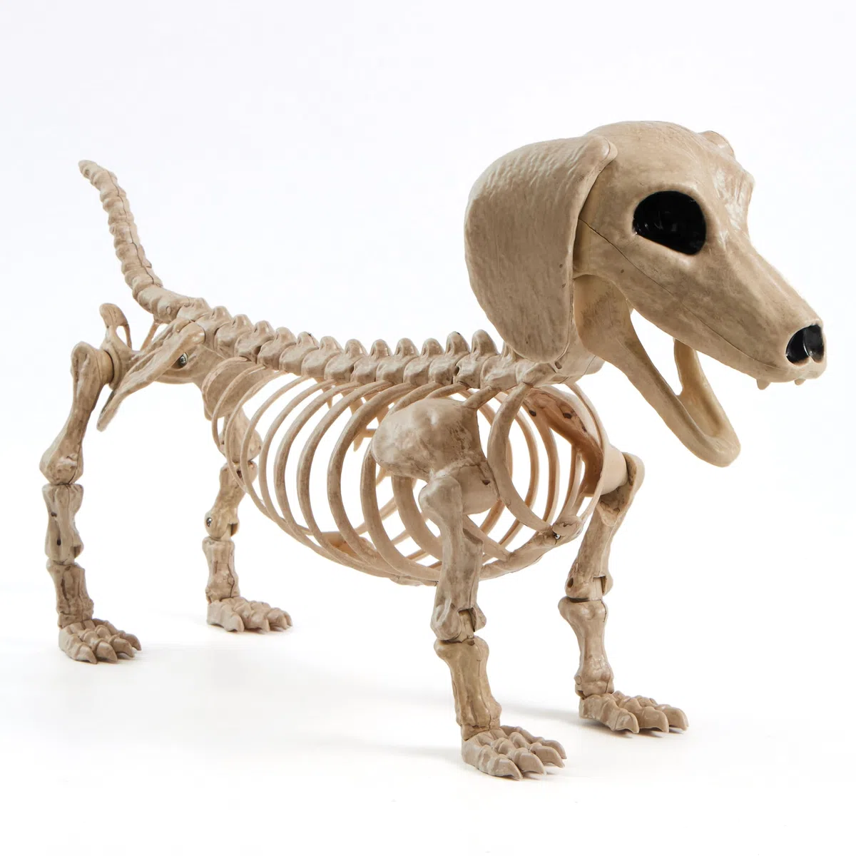 JOYIN Szkielet psa na Halloween, 61 cm, plastikowy szkielet zwierzęcy, dekoracje z możliwymi połączeniami, sceny cmentarne, nawiedzony dom, rekwizyt, dekoracja na imprezę, do wewnątrz i na zewnątrz