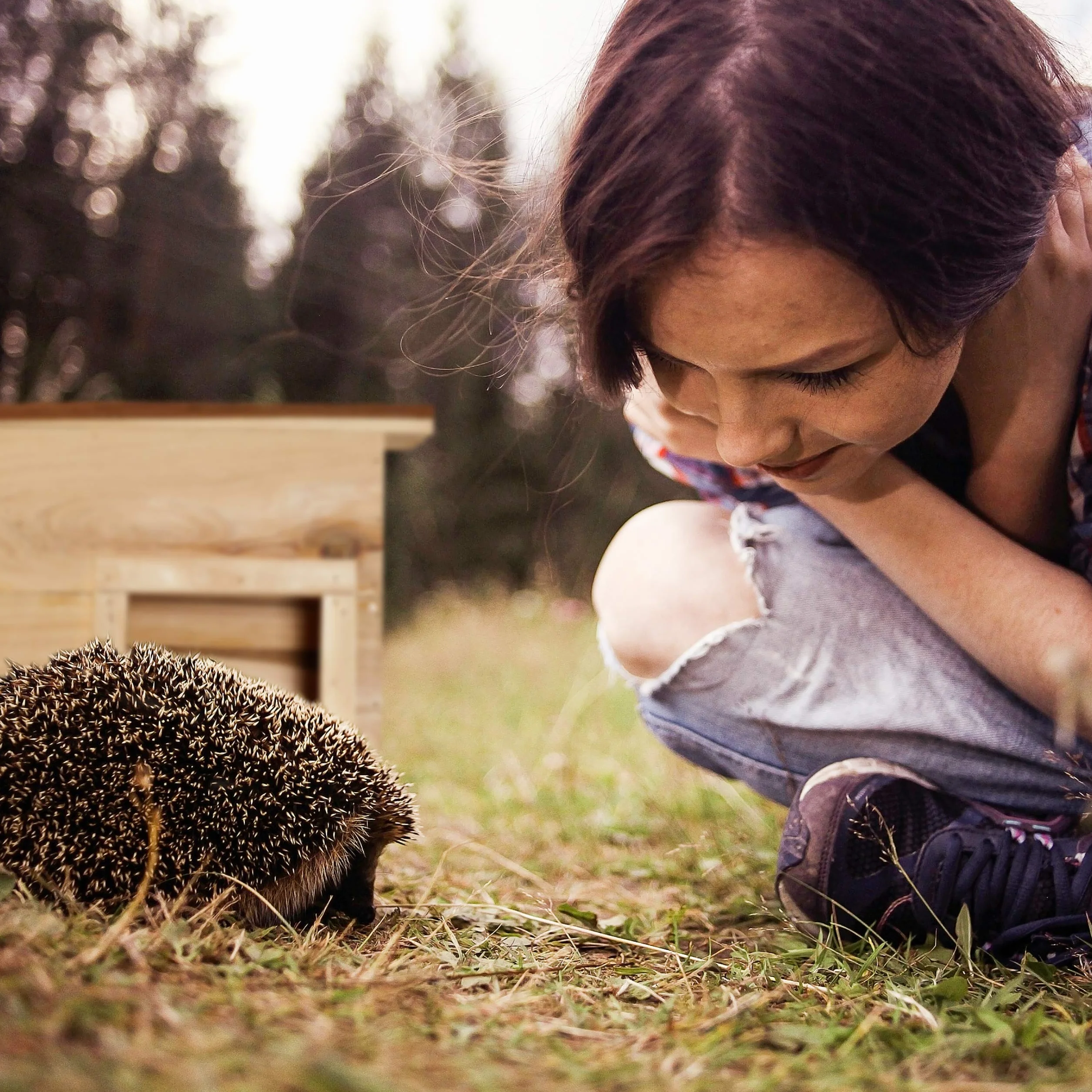 Relaxdays Domek dla Jeży, Brązowy