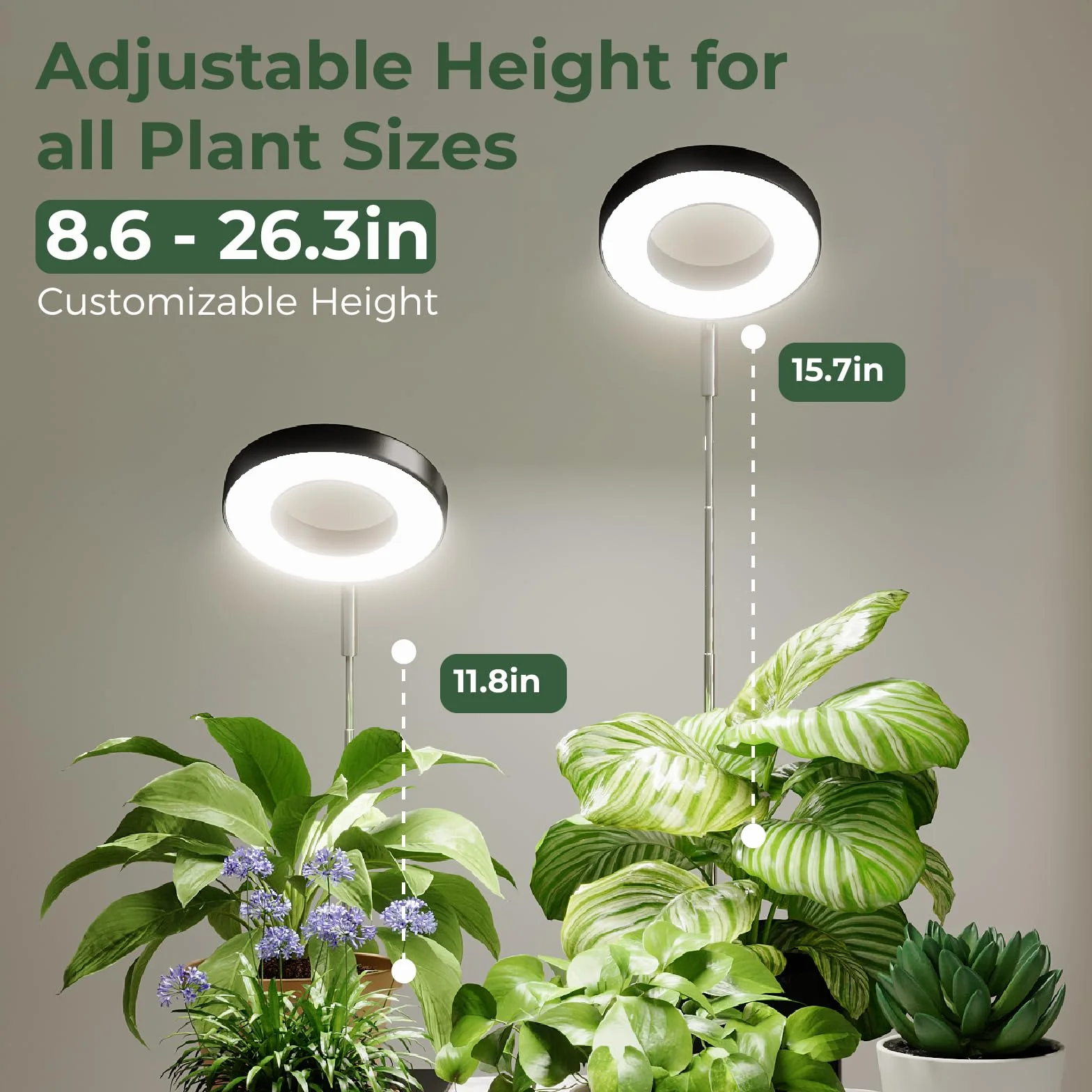Bamworld Lampa do uprawy roślin LED pełne spektrum 8W regulowana wysokość