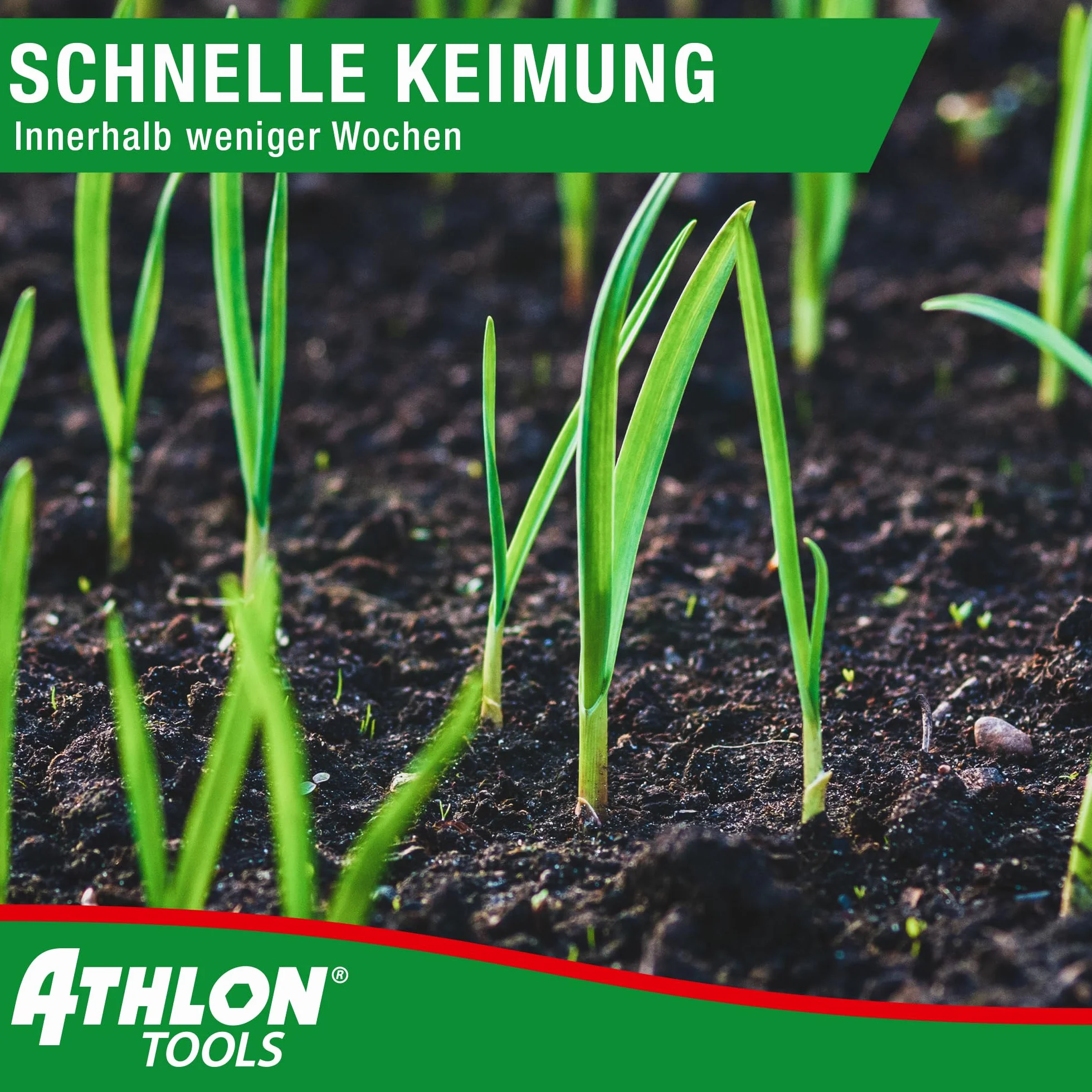 ATHLON TOOLS nasiona trawnika 1 kg 40 m² szybko kiełkujące dosiew