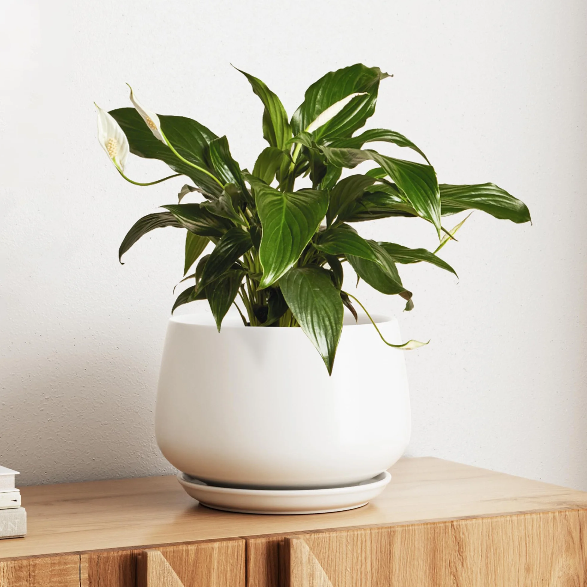 LE TAUCI Ceramiczna Doniczka 25 cm, Donica z Otworem Odpływowym i Podstawką, Zaokrąglony Design, do Salonu, Biura i Roślin Domowych, Biały