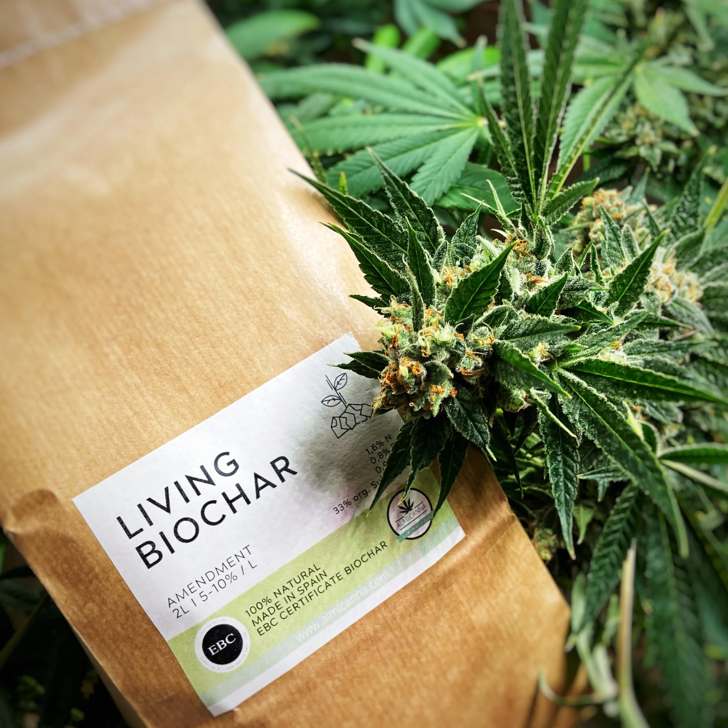 Living Biochar 2 l – aktywny węgiel roślinny do uprawy konopi – amendment w Living Soil i Terra Preta – aktywator gleby