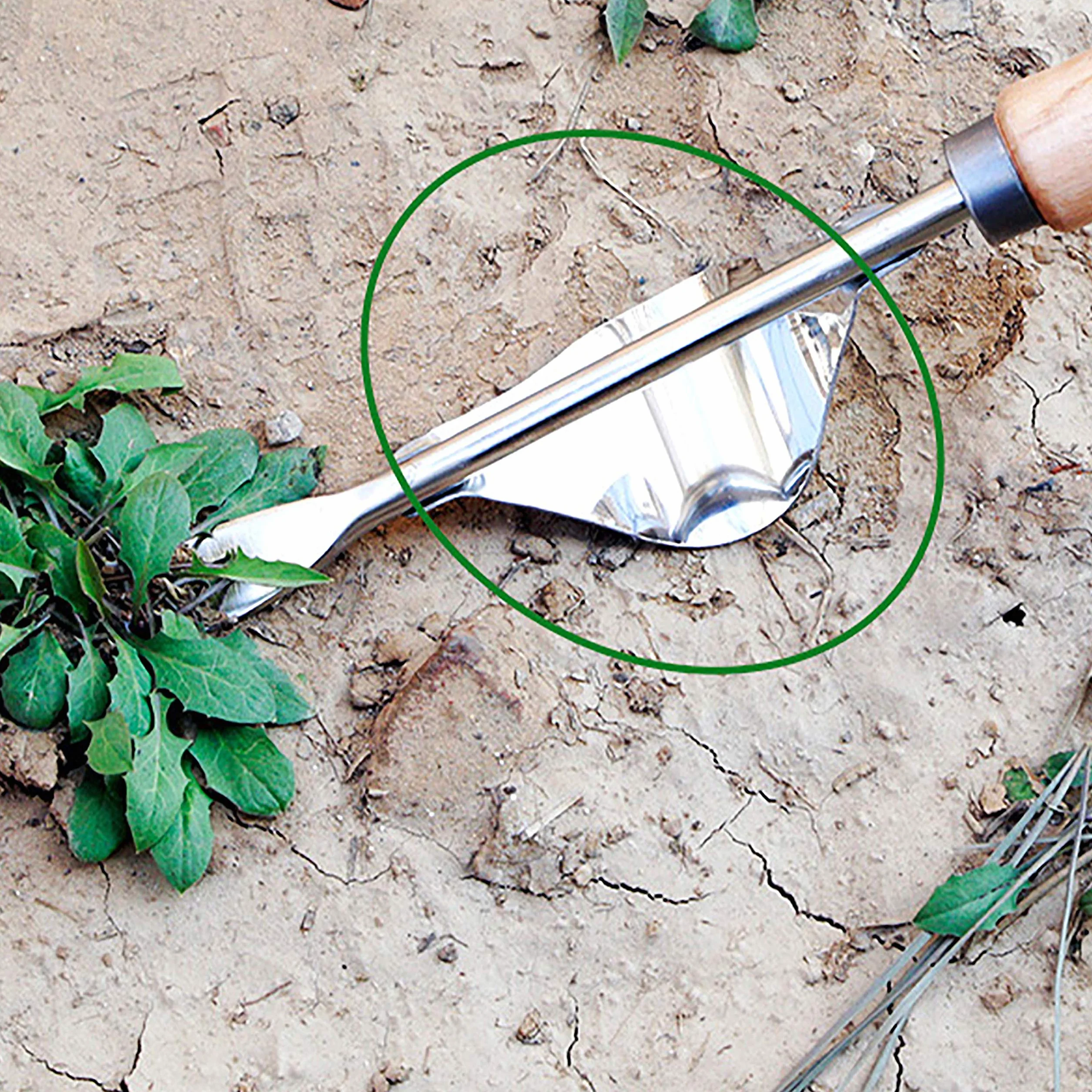Ręczne narzędzie do usuwania trawy ze stali nierdzewnej, chwastów ze stali nierdzewnej, z drewnianym uchwytem do usuwania chwastów ręcznych, wyciąg z ziół, zła trawa, ogrodnictwo