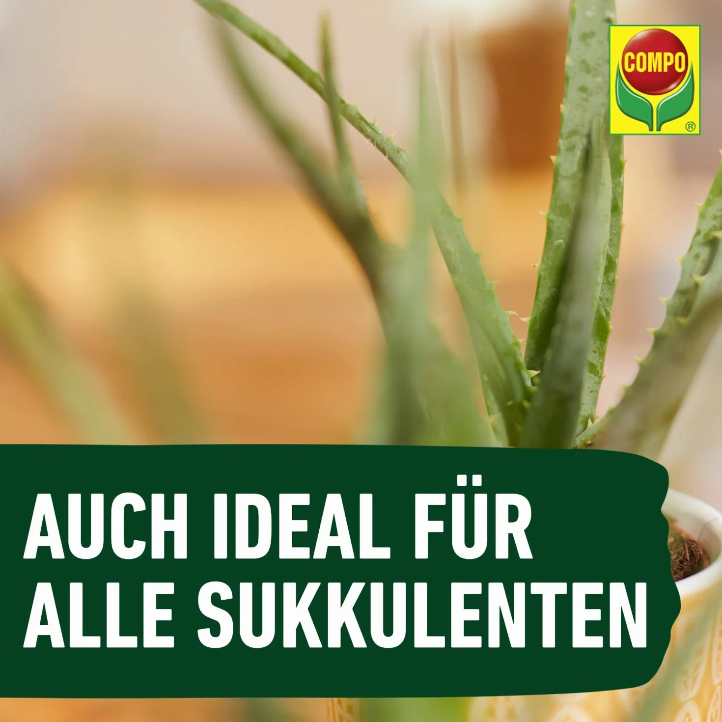 Compo 14064 Nawóz do Kaktusów i Sukulentów, 250 ml