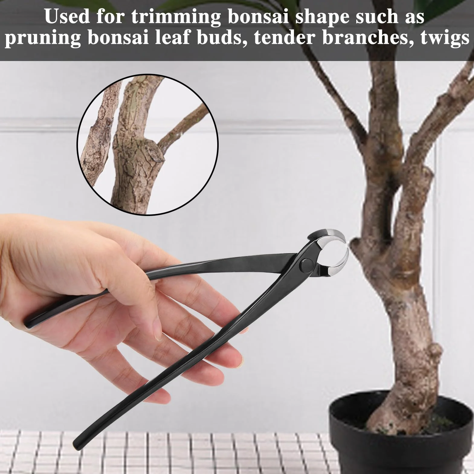 SPEEDWOX Zestaw narzędzi bonsai: wklęsłe frezy, kuliste pokrętła, nożyczki