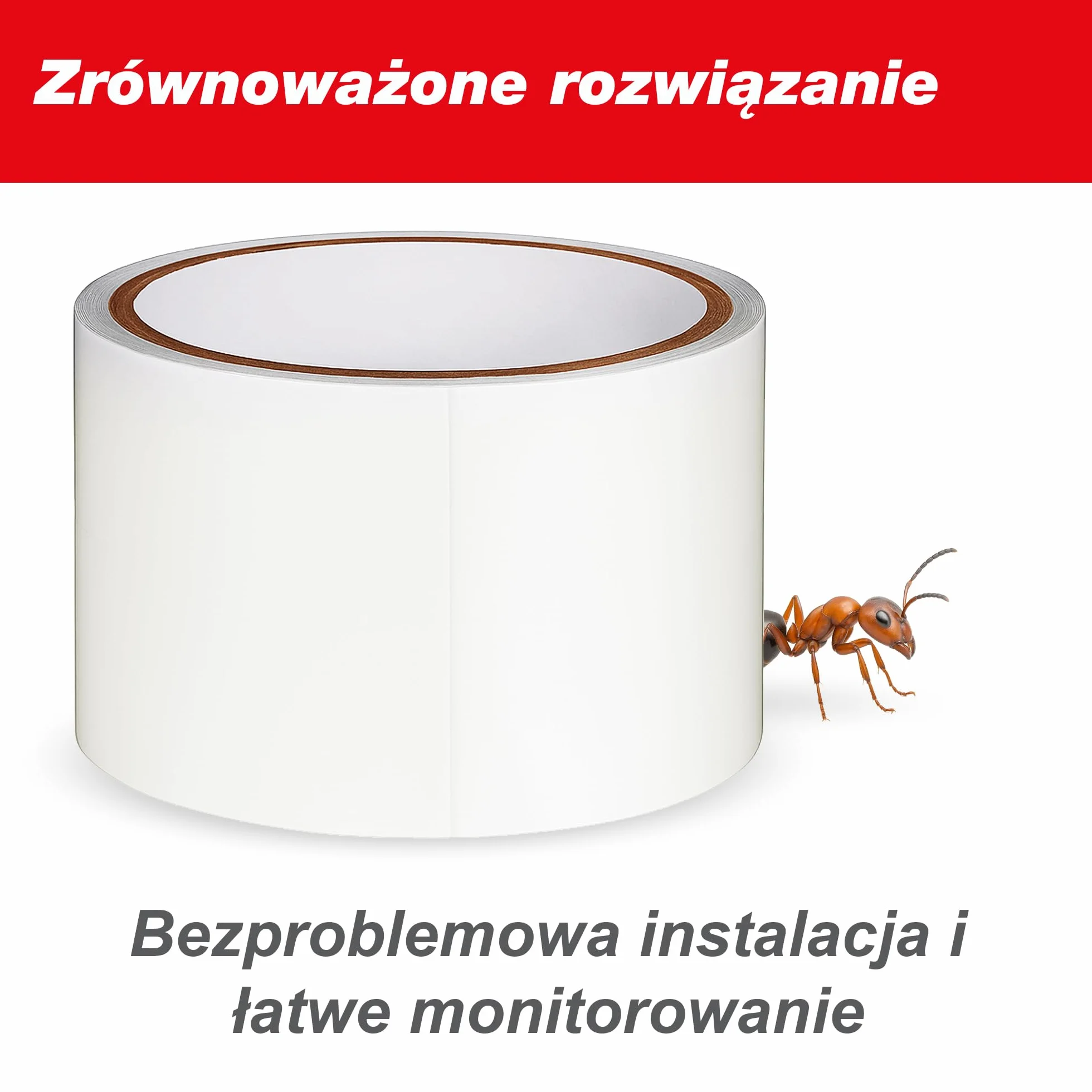 SWISSINNO Klejący Pierścień na Drzewa – Zwalcza Gąsienice i Mrówki – Pułapka Barierowa z Białą Taśmą – Samoprzylepna – 5cm x 5 Metry – Działa Mechanicznie
