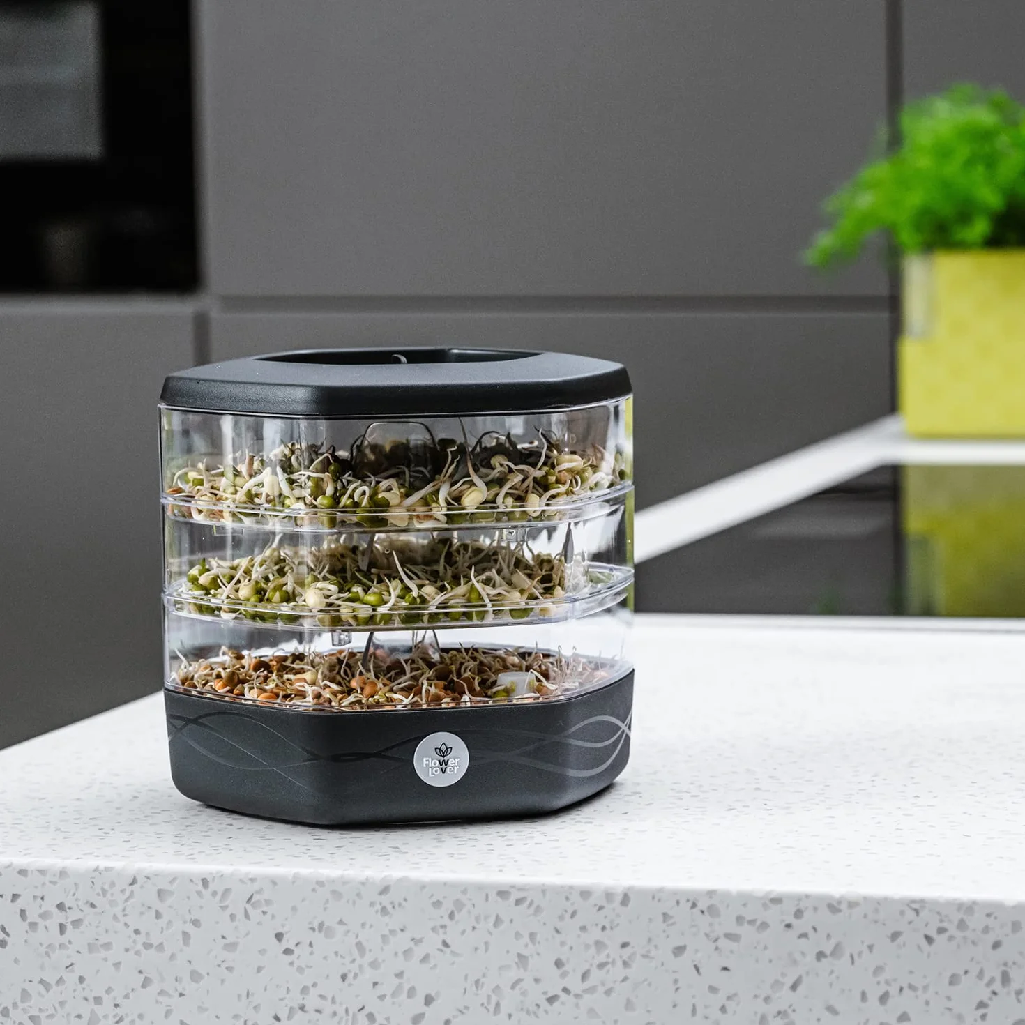 Zestaw Tac do Kiełkowania z 3 Poziomami, ø 17 cm - Wieża do Kiełków, Rzeżuchy, Mikrogreenów - Designerskie Sito z Wysokiej Jakości Tworzywa Sztucznego (Antracyt)