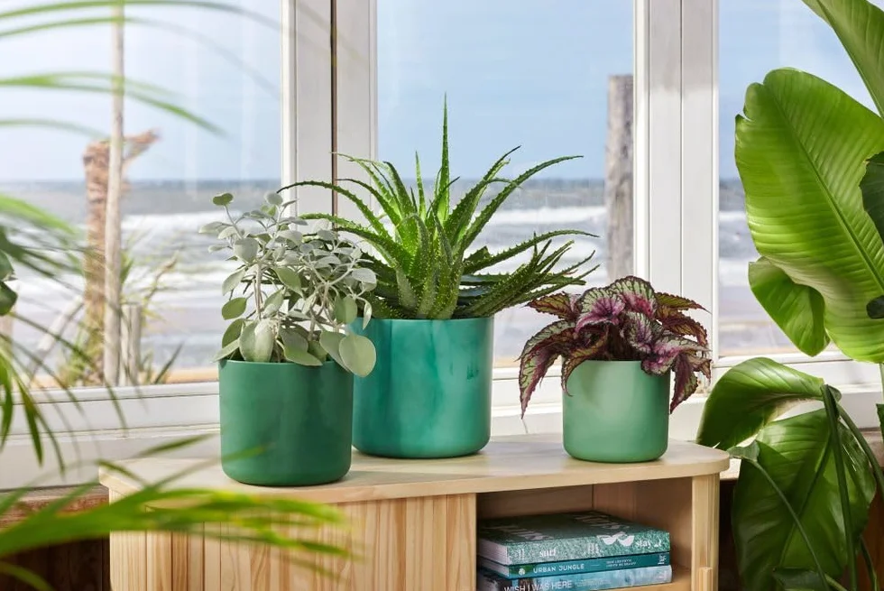 elho The Ocean Collection okrągła 18 cm – doniczka na kwiaty do wewnątrz, w 100% z recyklingu, wykonana z odpadów morskich, zielona/zieleń Pacyfiku