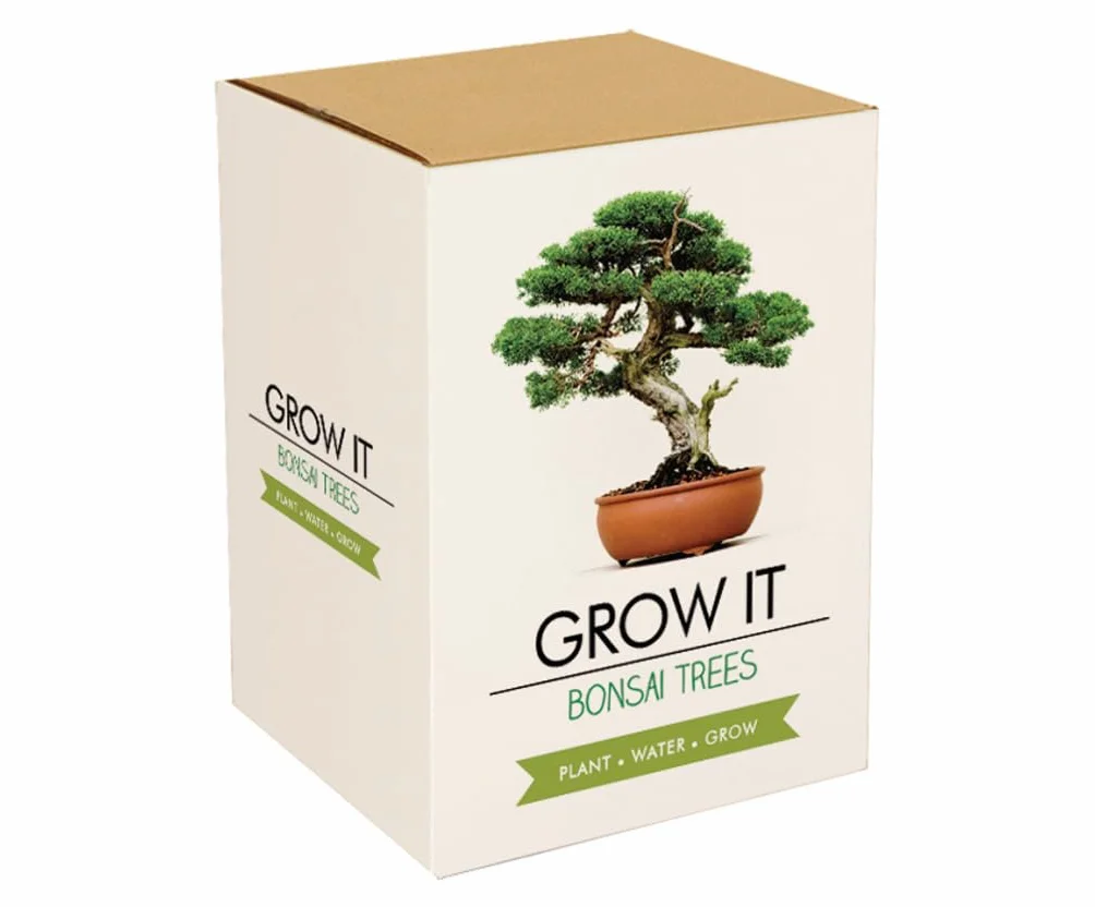 Gift Republic GR200006: Uprawiaj ją. Uprawiaj własne drzewka bonsai, 12 x 12 x 12 cm