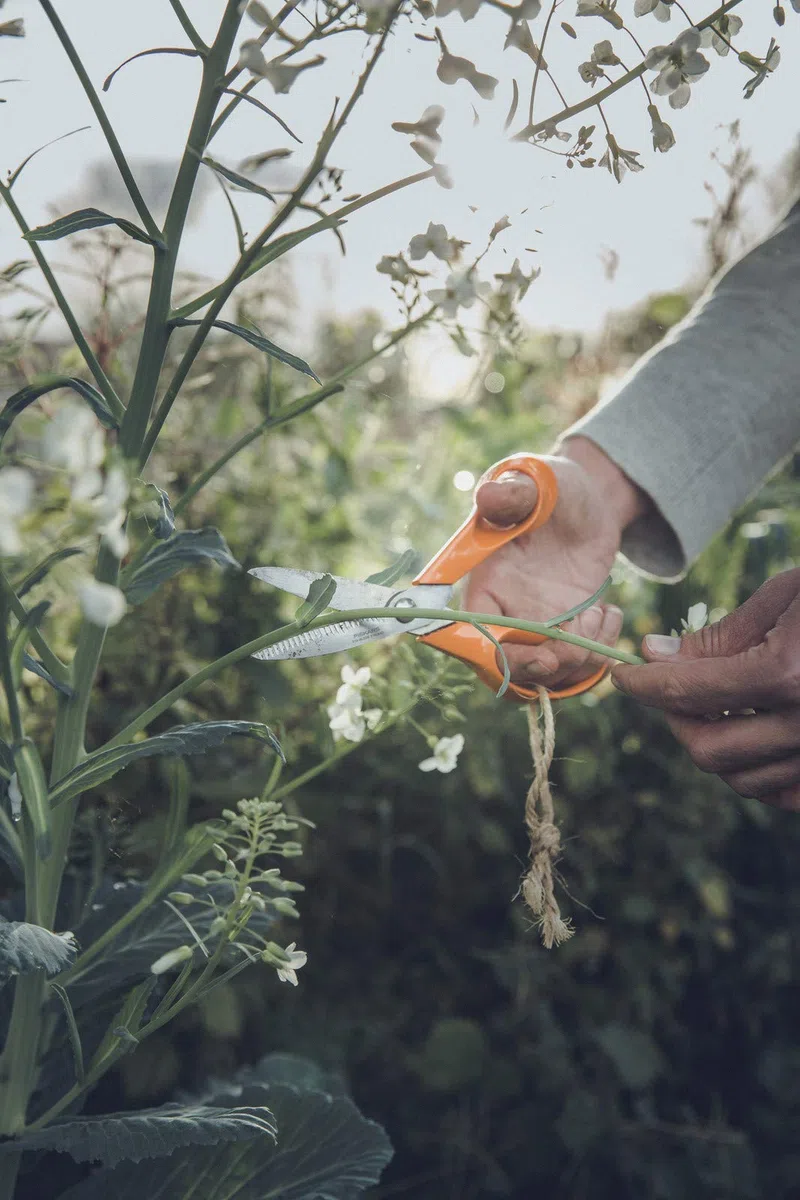 Fiskars Nożyczki uniwersalne z ząbkowanym ostrzem, Długość: 18 cm, Ostrze ze stali nierdzewnej/ trzonek z tworzywa sztucznego, Pomarańczowy, Klasyczny, S92, 1000555