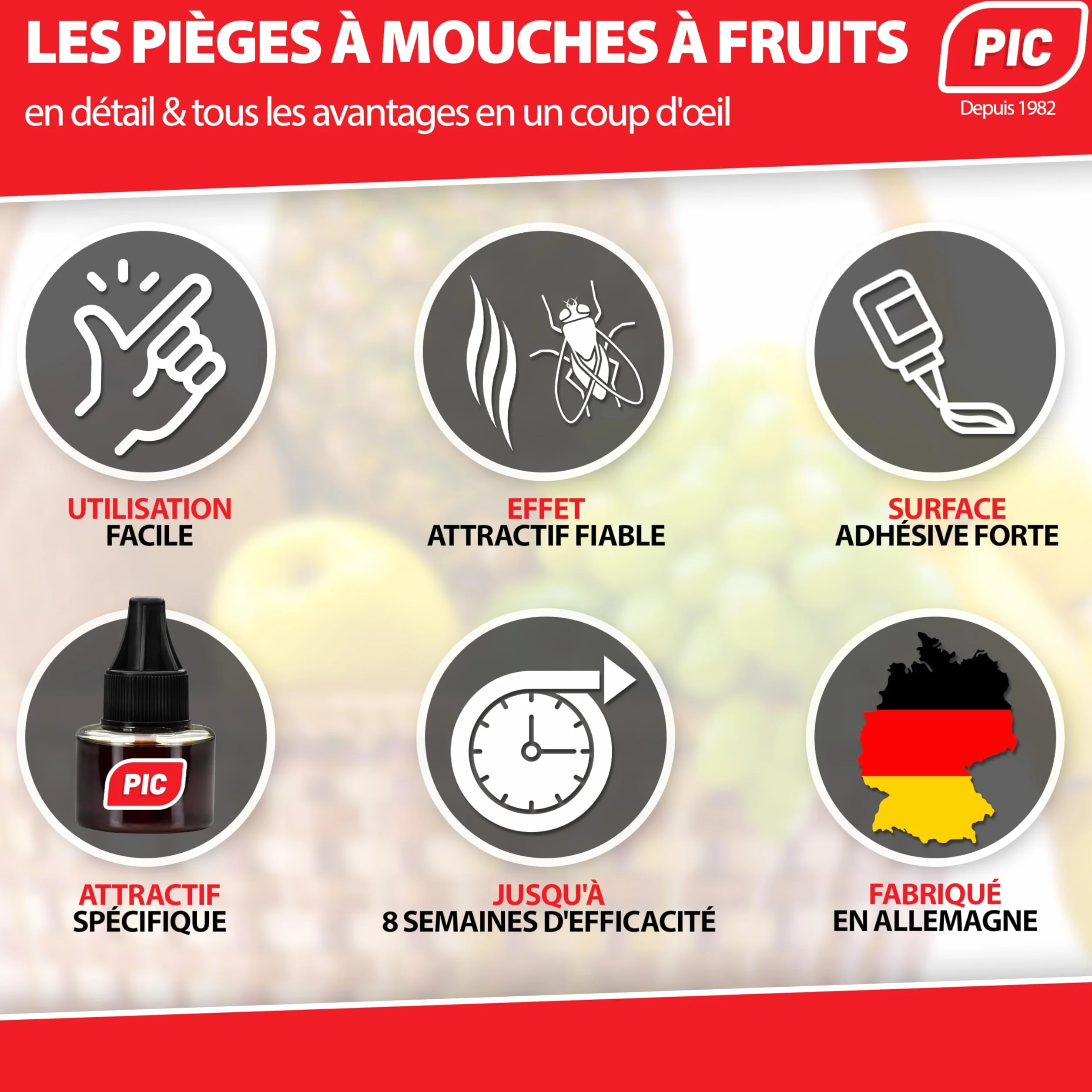 PIC pułapka na muszki owocówki z taśmą klejącą przeciwko muszkom owocówkowym - pułapka na muszki owocówki do użytku wewnętrznego, pułapka na muchy idealna w kuchni, 2 pojemniki z substancją