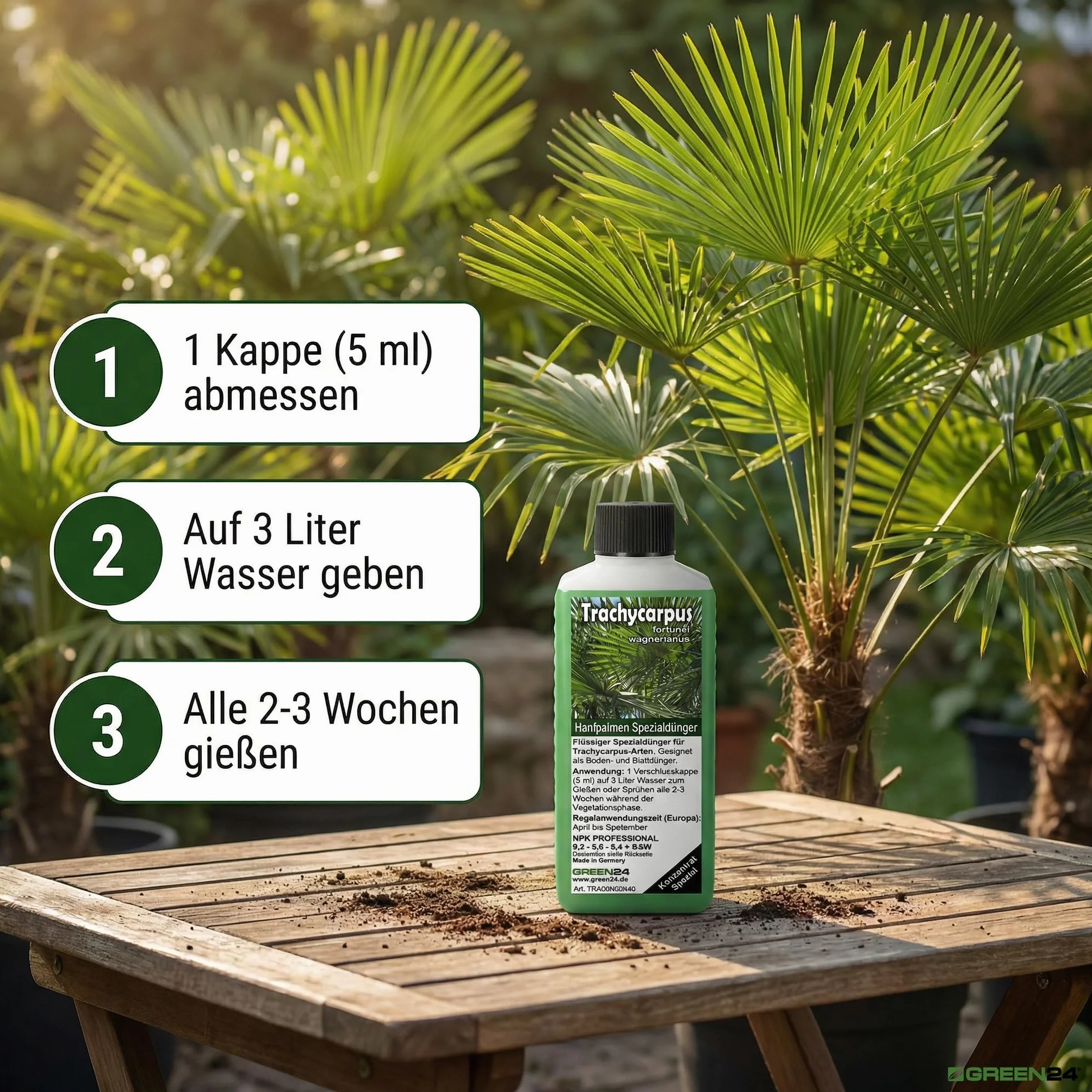 GREEN24 Trachycarpus nawóz do palm konopnych Trachycarpus fortunei wagnerianus jako specjalny nawóz do korzeni + nawóz dolistny Profi Line