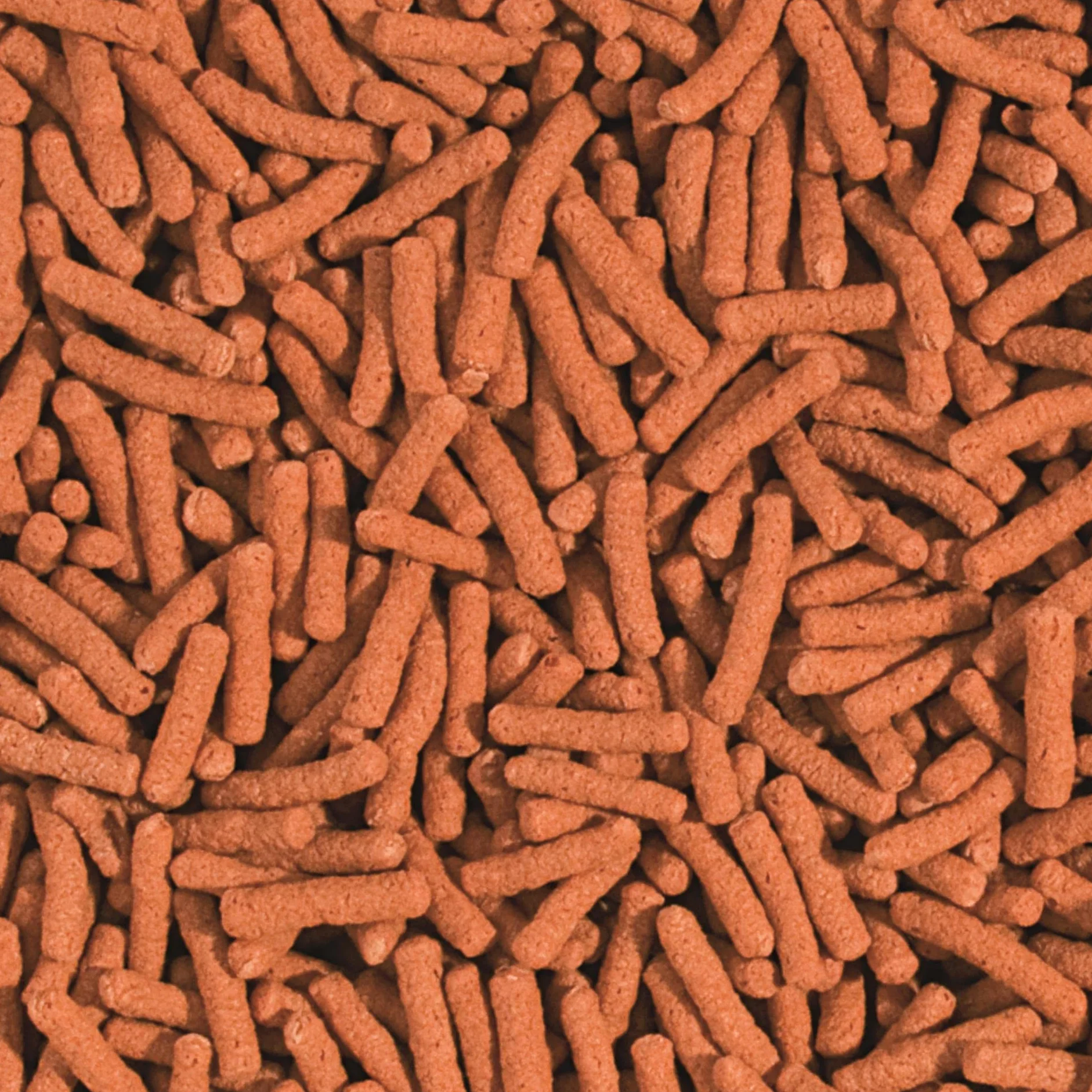 Tropical Pływający pokarm wybarwiający dla ryb w oczku wodnym KOI&GOLDFISH COLOUR STICKS 20L / 1600g