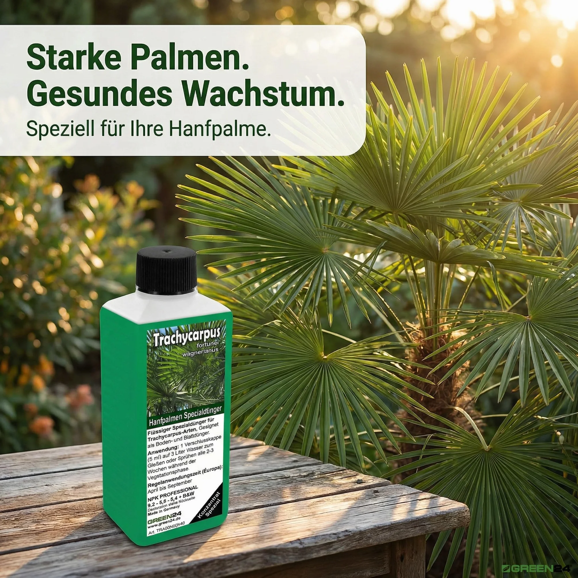 GREEN24 Trachycarpus nawóz do palm konopnych Trachycarpus fortunei wagnerianus jako specjalny nawóz do korzeni + nawóz dolistny Profi Line