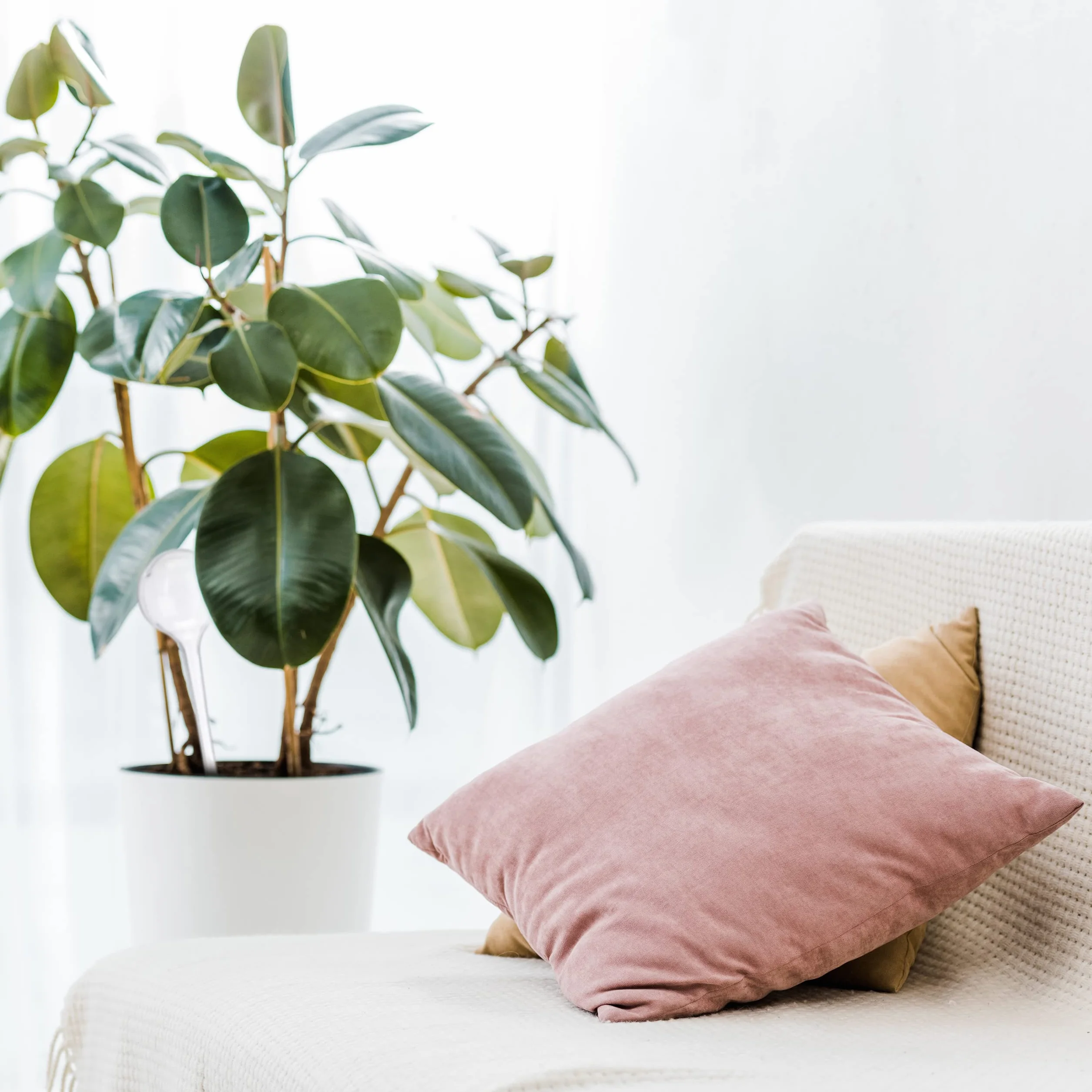 Relaxdays Kule do Nawadniania, Przezroczysty, 4 sztuki