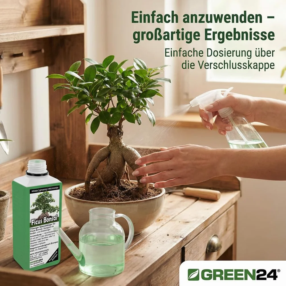 Nawóz do bonsai Ficus Ginseng retusa microcarpa, chińska figa, nawóz płynny