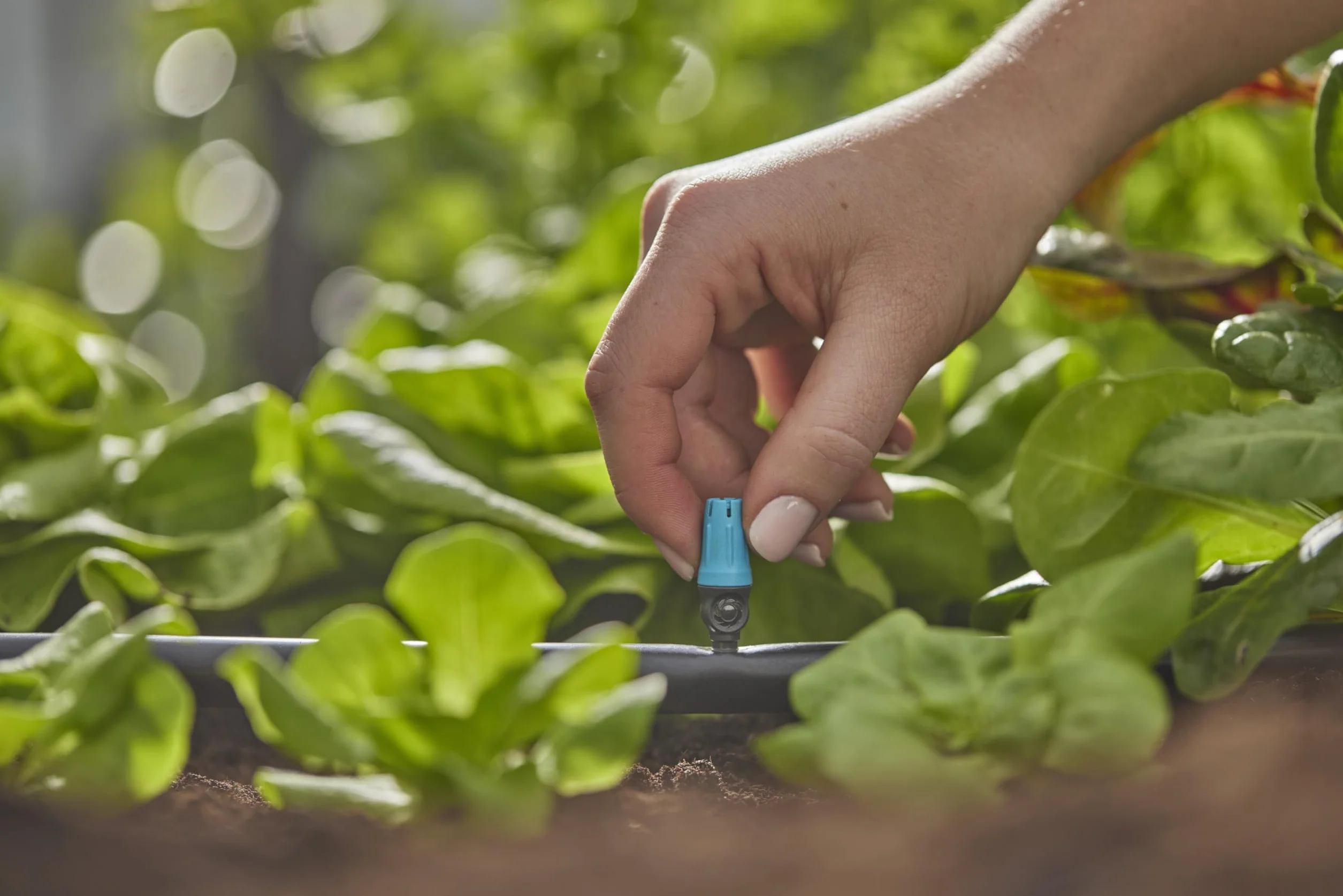 Gardena system Micro-Drip dysza małopowierzchniowa: Dysza rozpylająca do aut. systemu nawadniania do małych powierzchni do śr. 40 cm, proste połączenie z rurą instal. 13 mm (13306-20)