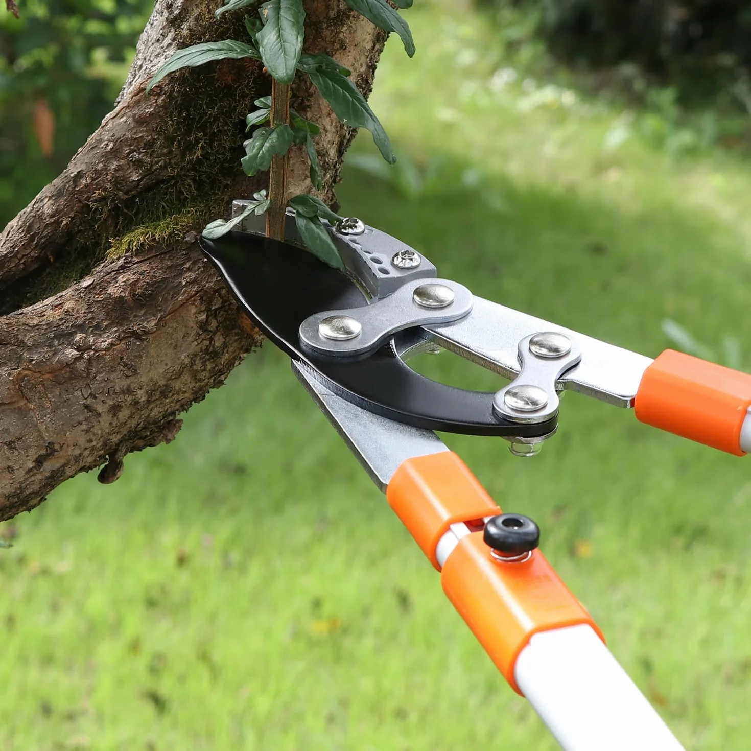 QWORK® Teleskopowe sekatory do gałęzi 68-101 cm, teleskopowe nożyce do gałęzi z regulowanymi uchwytami