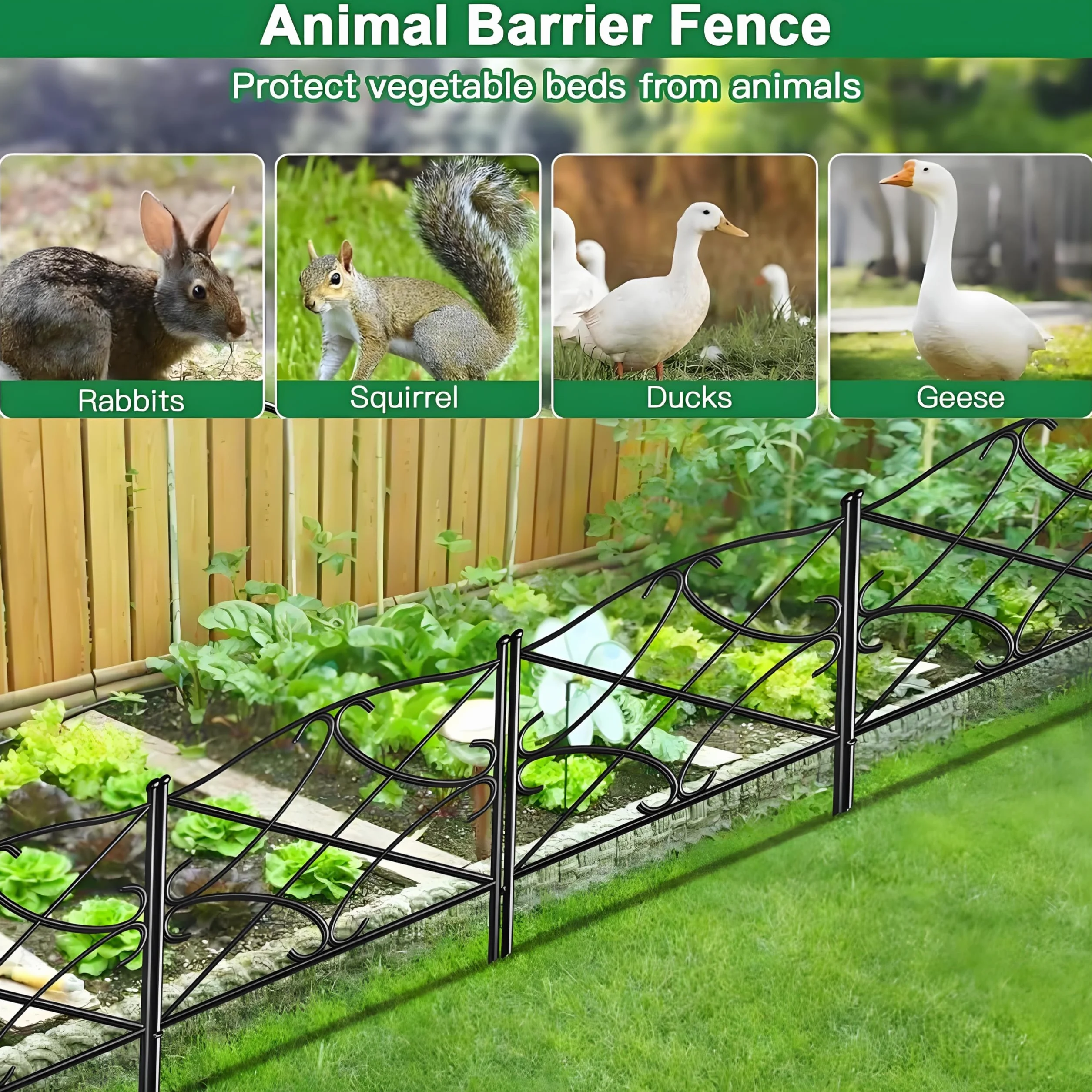 Amagabeli Garden Home 5 szt. 60 cm x 3 m, dekoracyjne metalowe ogrodzenie ogrodowe, płoty ogrodowe, kompletny zestaw, ogrodzenie, metal, drewno, drut