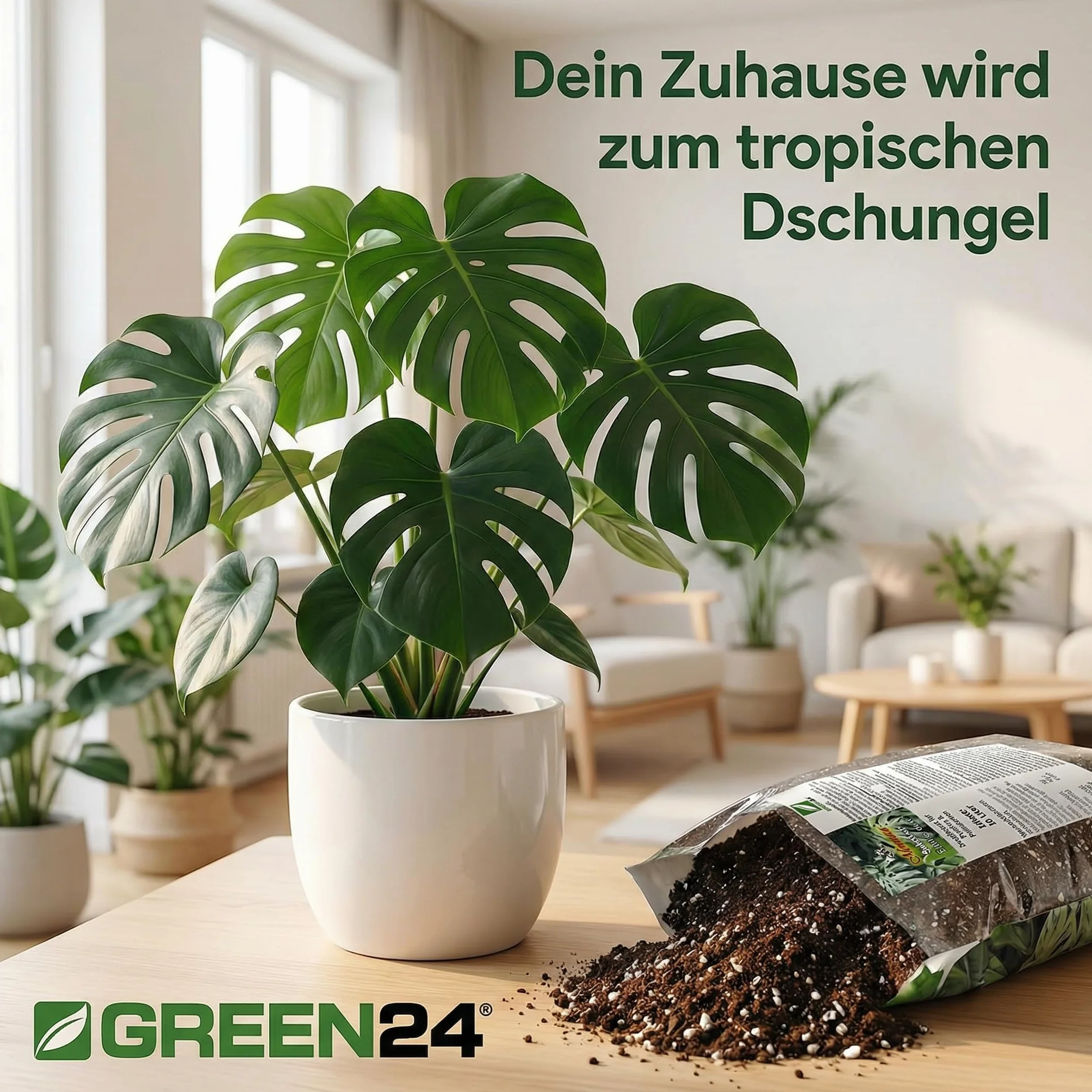 GREEN24 Monstera (liść okienny) i filodendron (przyjaciel drzewa) nawóz płynny NPK do filodendronu, skrzydła okiennego